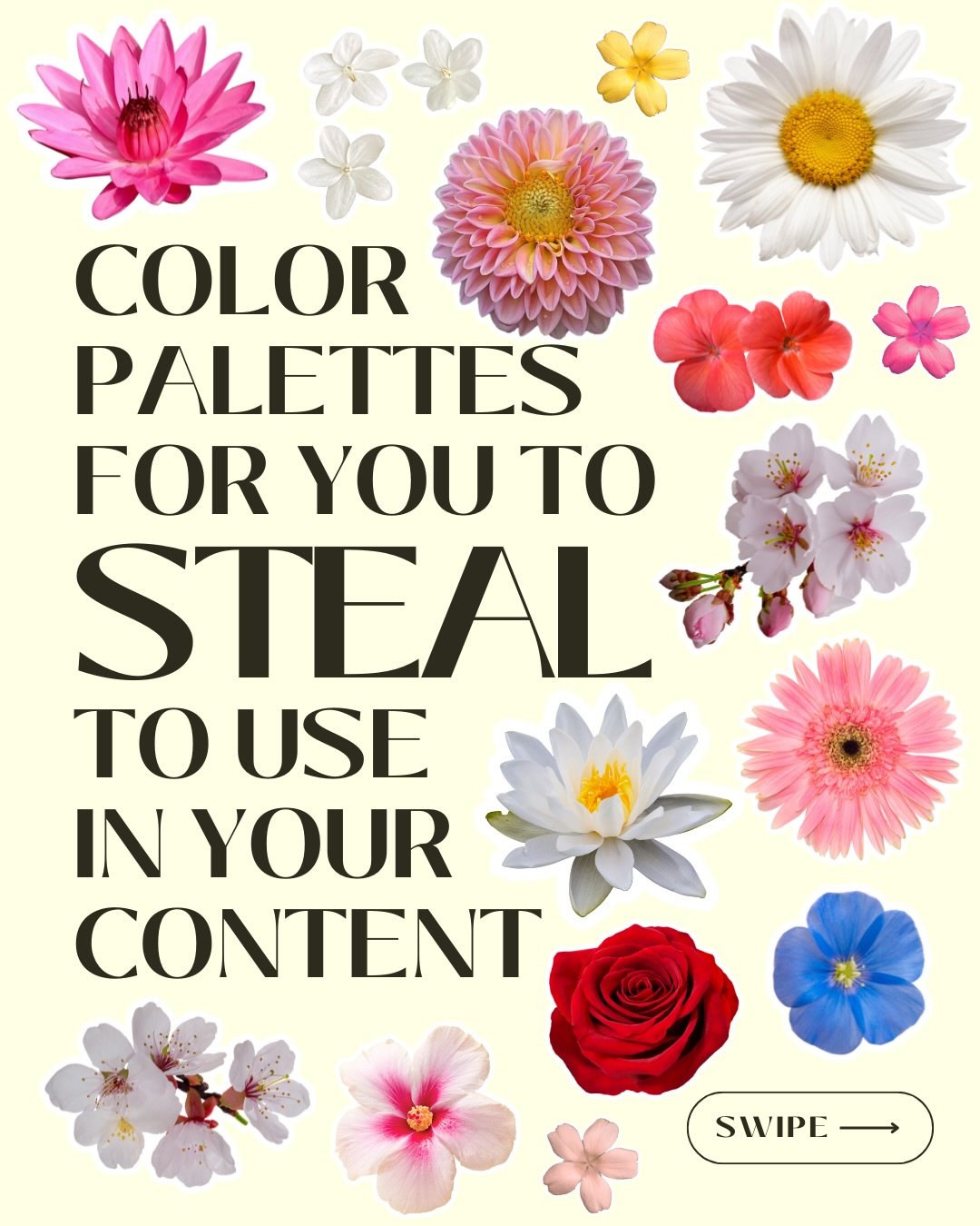 it&rsquo;s about to be -2&deg;F here &hellip; I think we could all use a little garden energy 🪴💐 which palette is ur fav? 🎨 
&bull;
&bull;
&bull;
🏷️ [ color palette inspiration , florals for spring , spring time garden , color theory ]