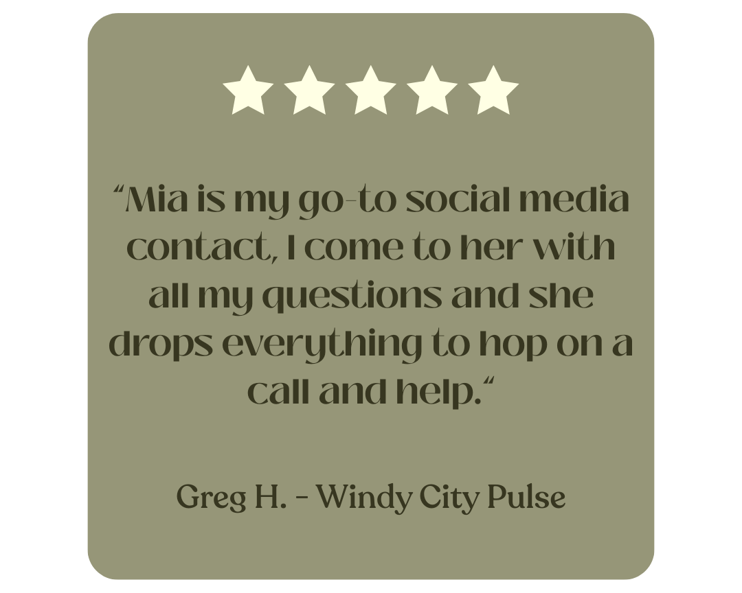 positive review for mochi digital marketing online marketing services best marketing agency in minnesota