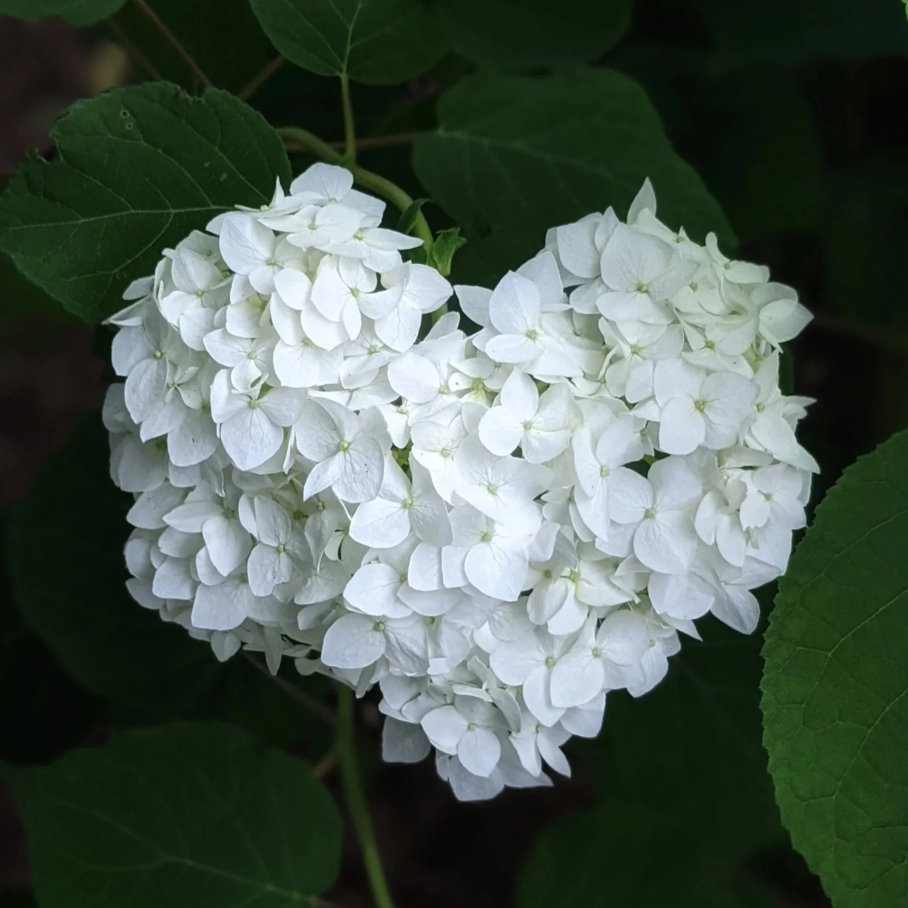 08.11.2025. Beauty is My Jam