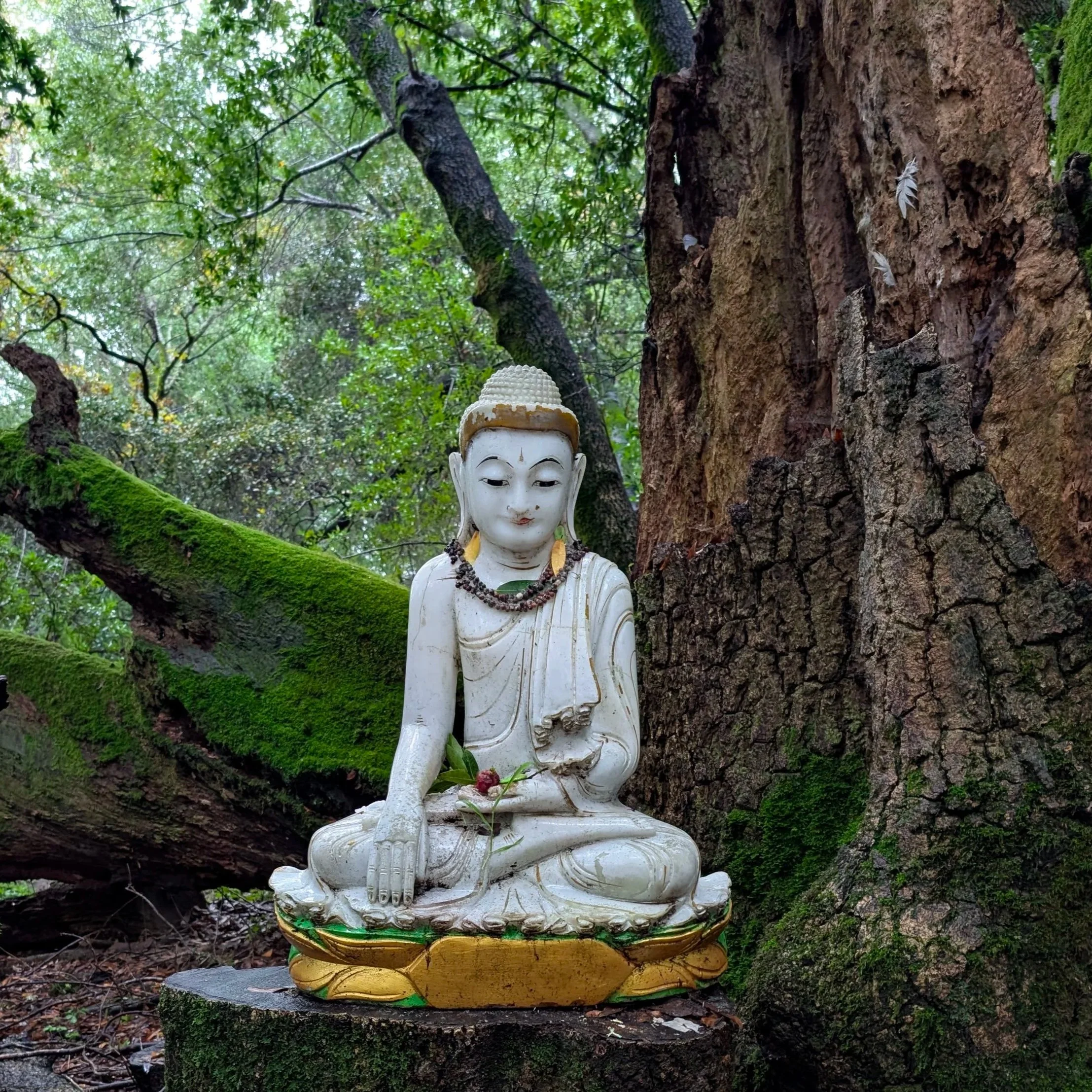 12.15.2025. Sacred Riding Shotgun