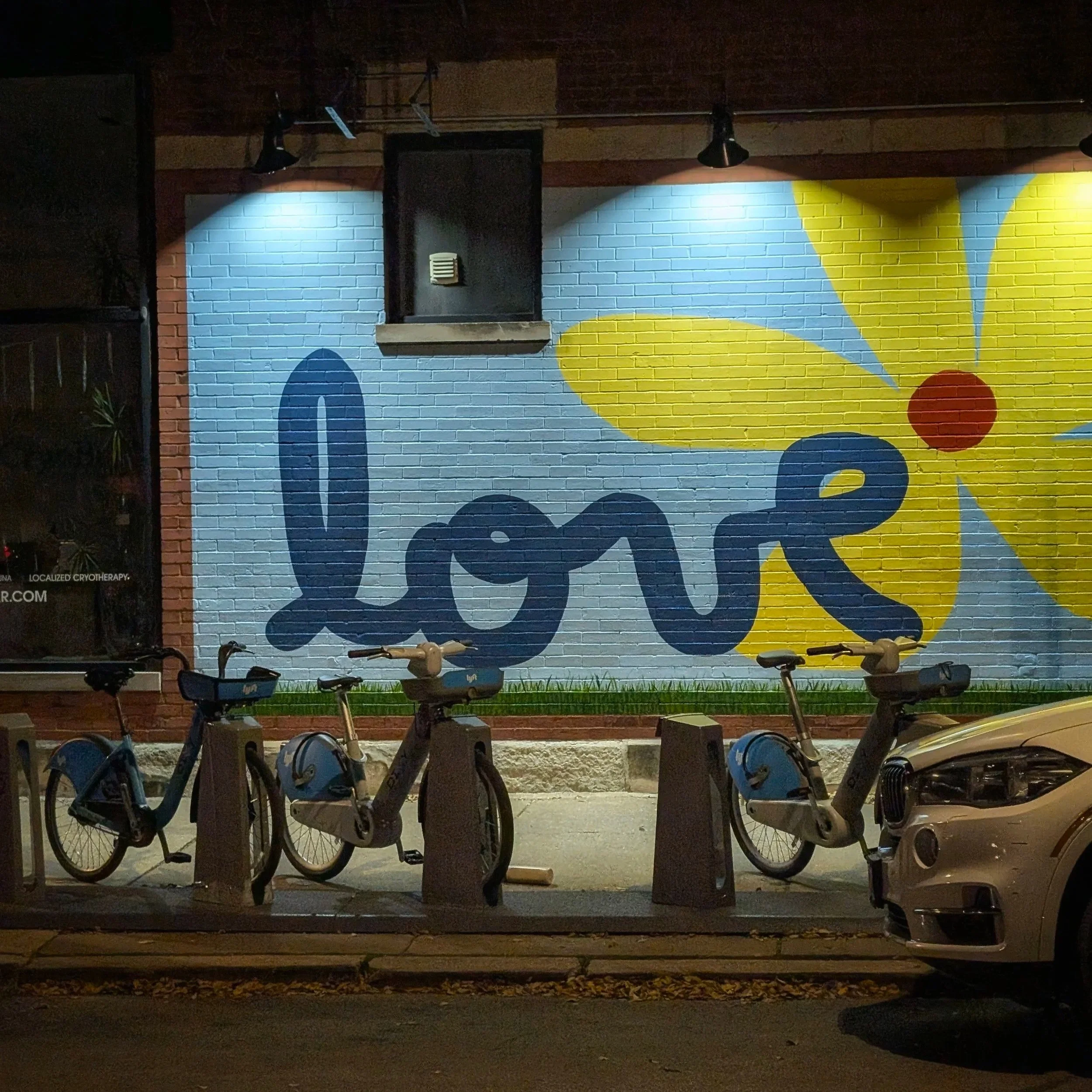 1.19.2026 Porous Heart-Bones