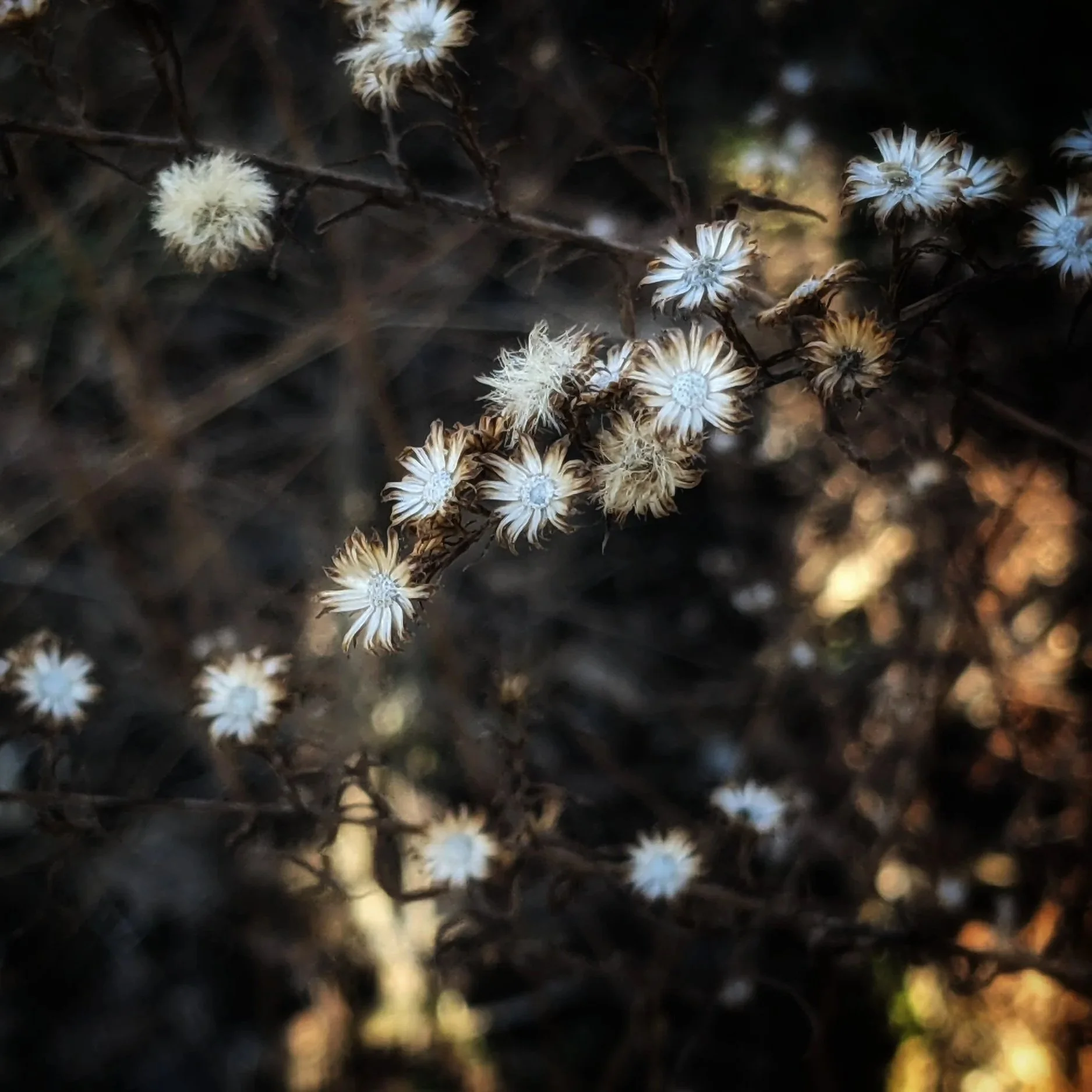 04.06.2026. Plethora of Sparks