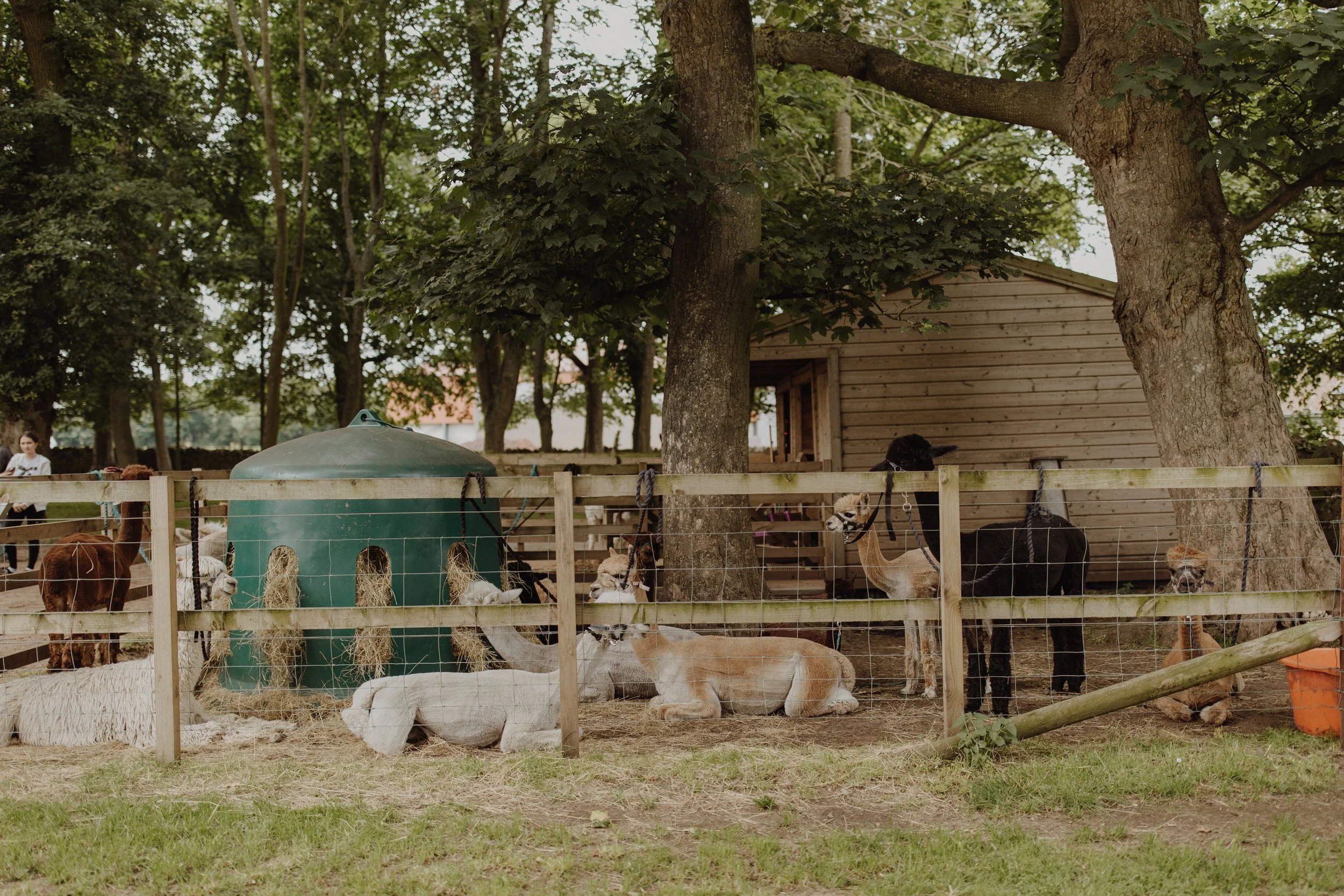 tradition-Edinburgh-weddings