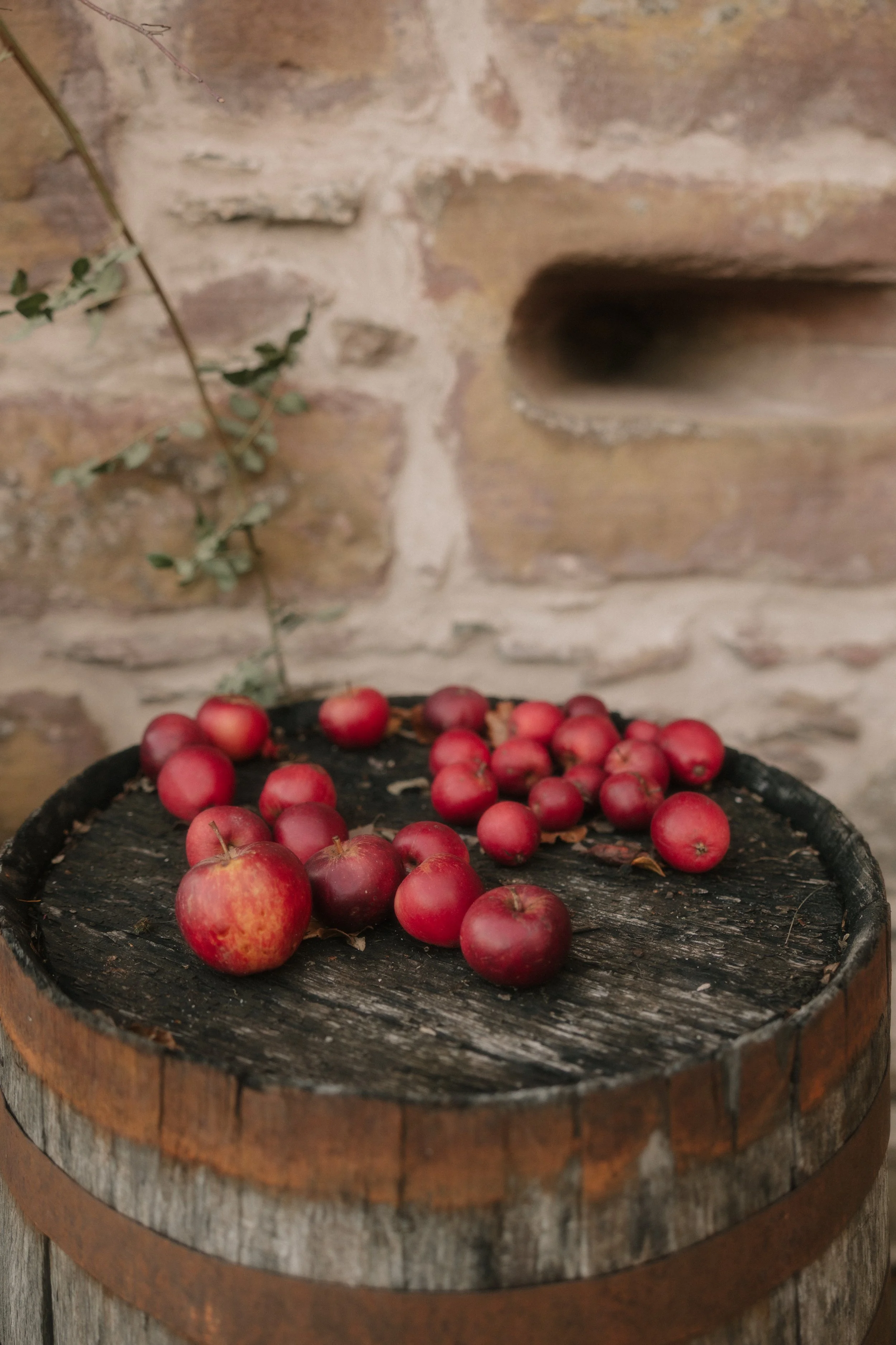 scottish-wedding-photography