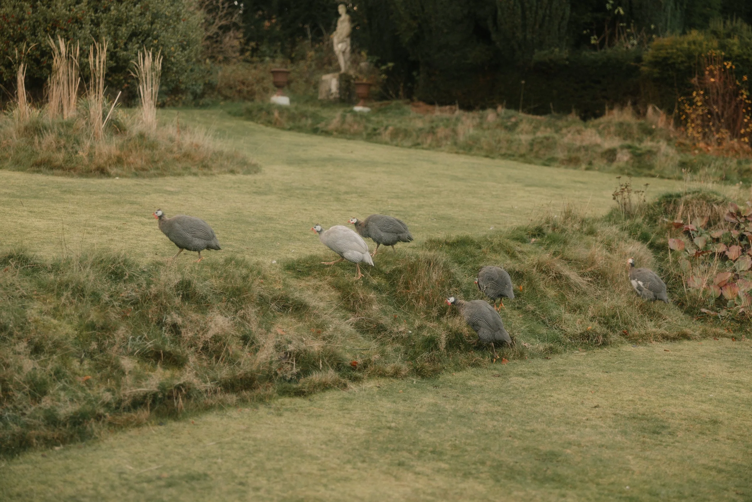 scottish-wedding-photography