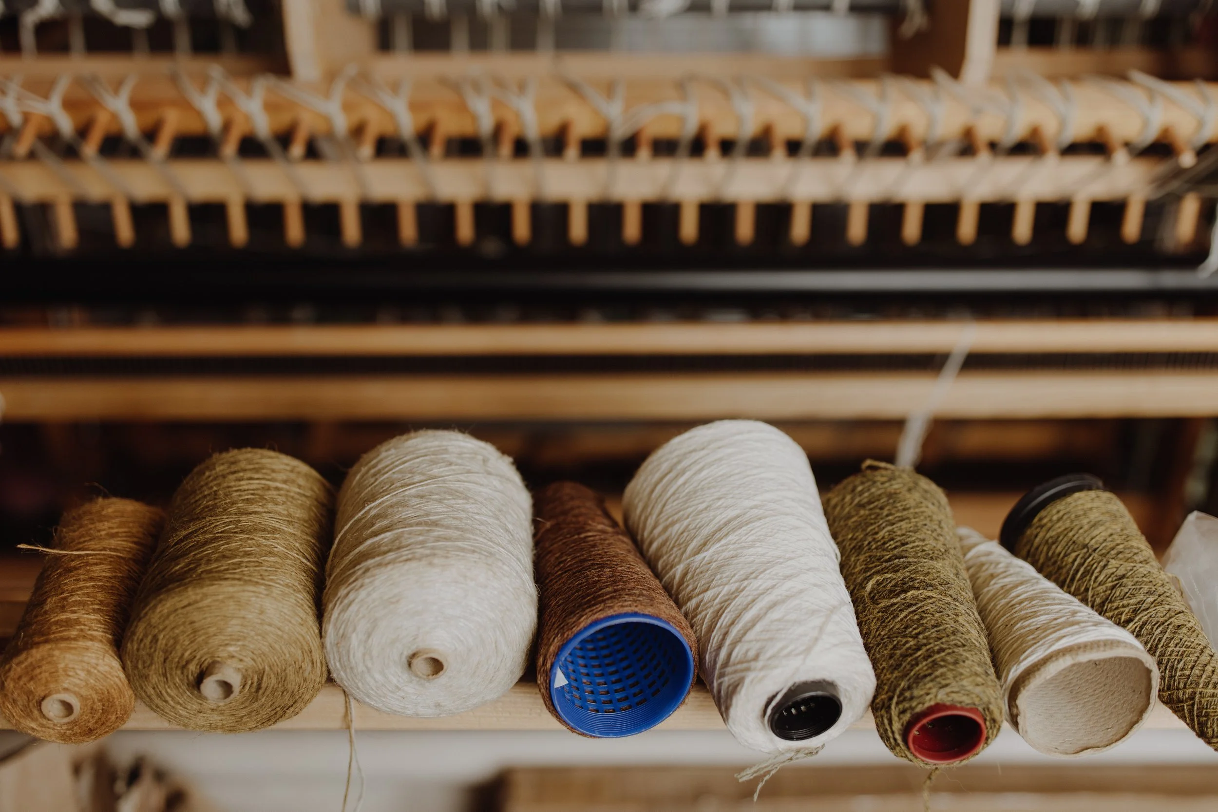 wedding-the-free-company-Edinburgh