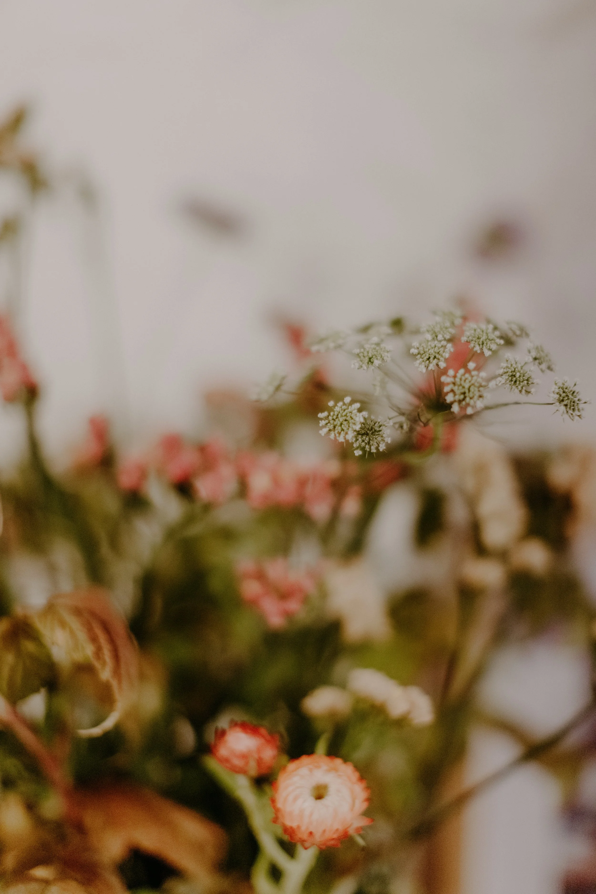 wedding-the-free-company-Edinburgh