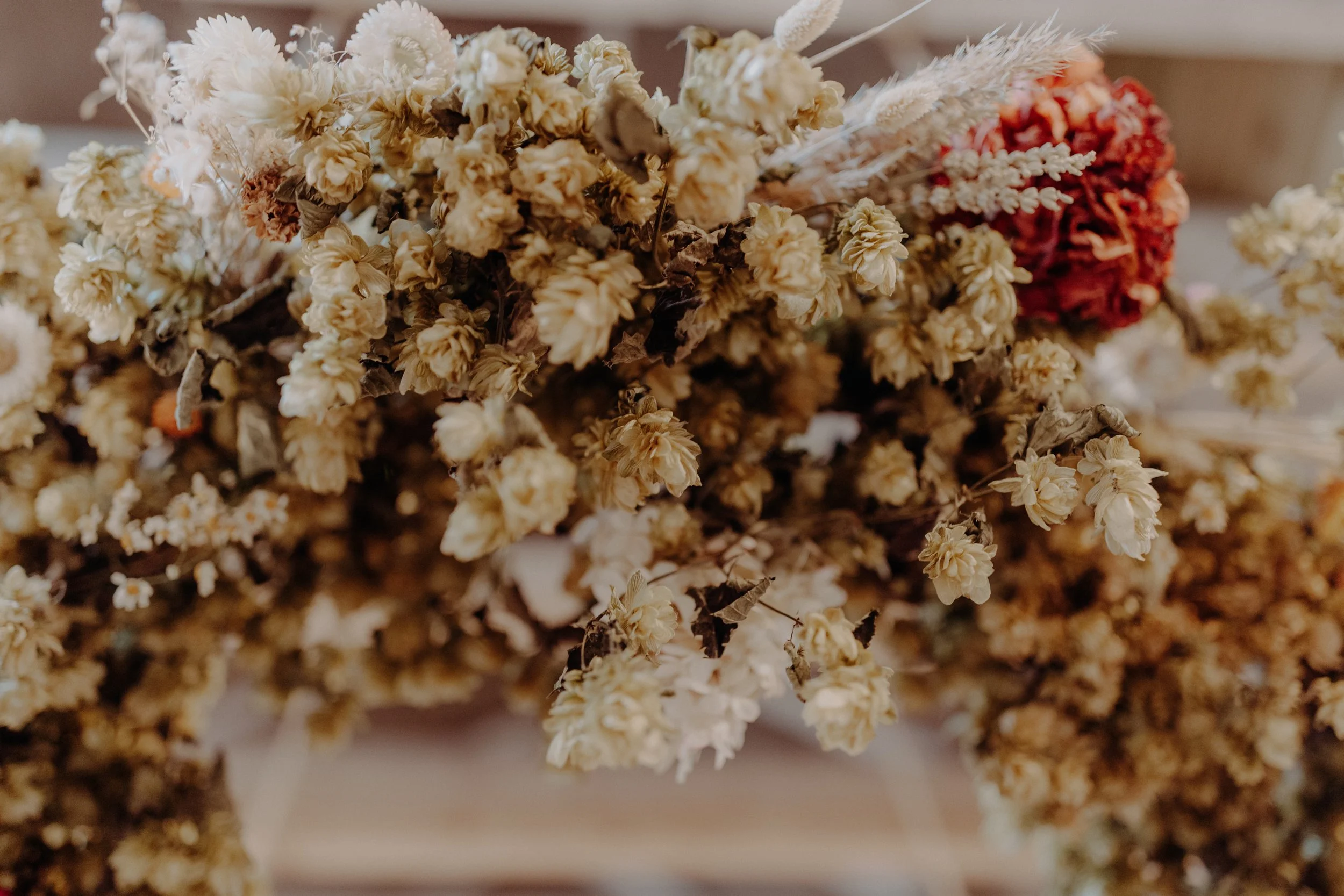 wedding-the-free-company-Edinburgh