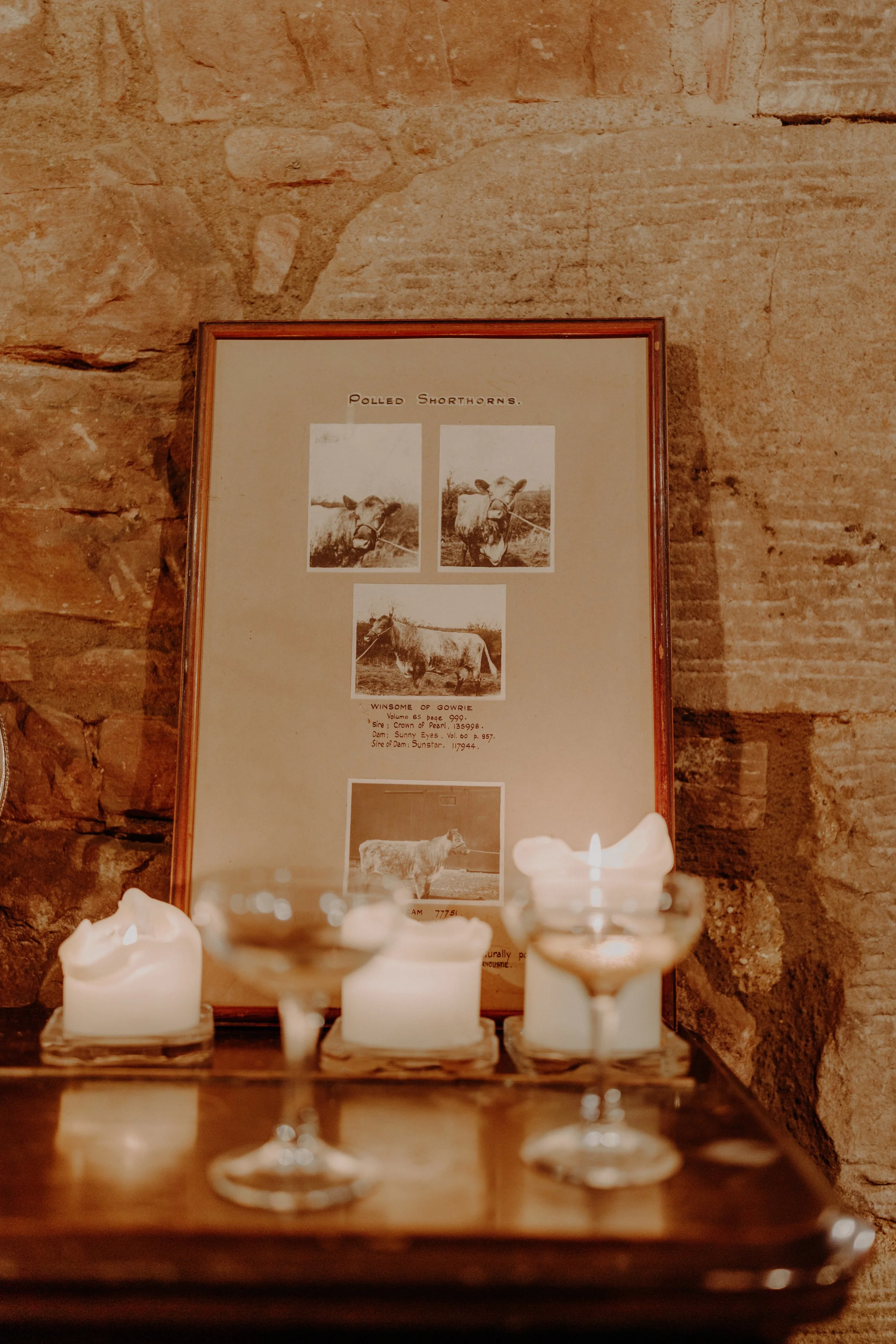 wedding-the-free-company-Edinburgh