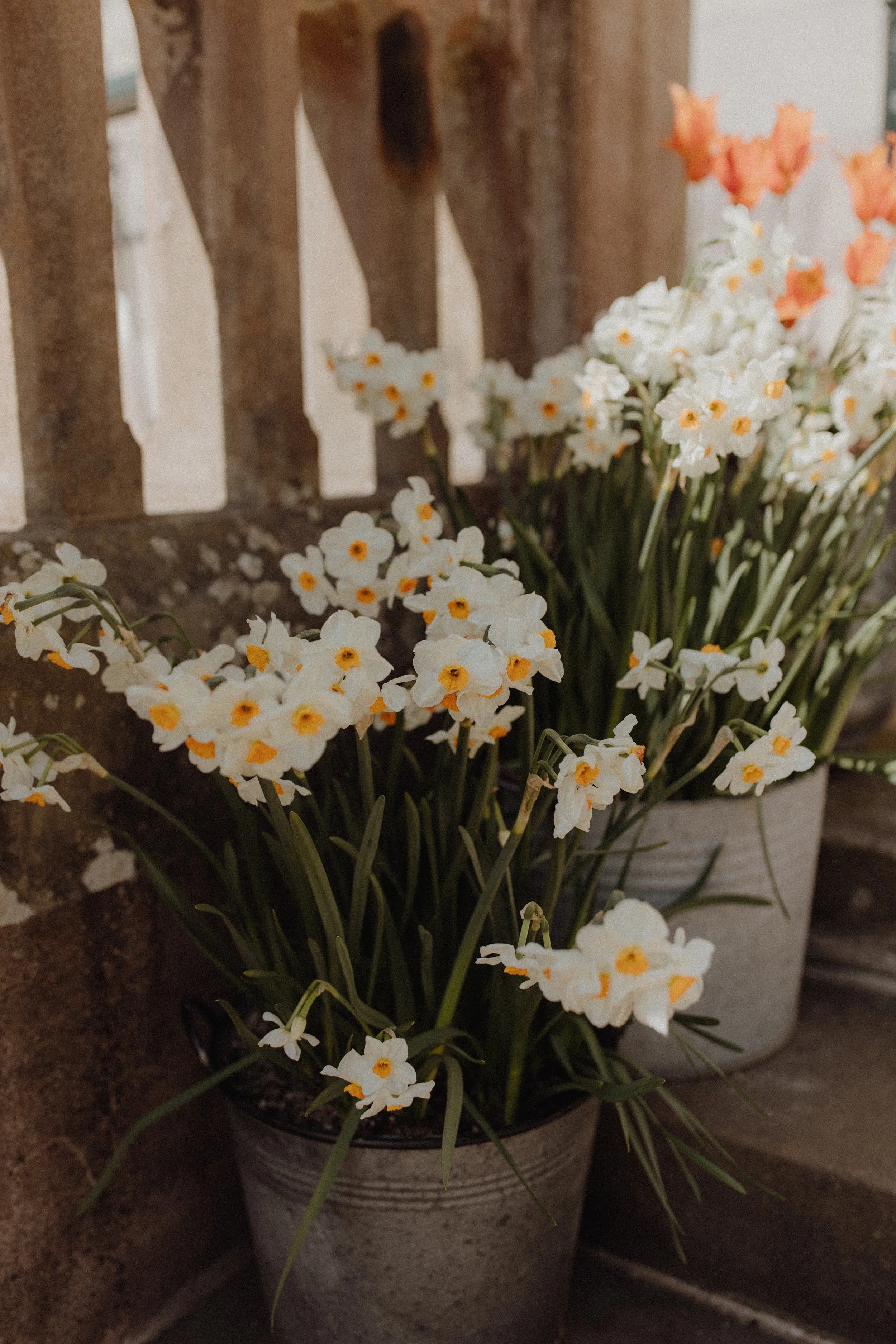 wedding-at-netherbyres-house