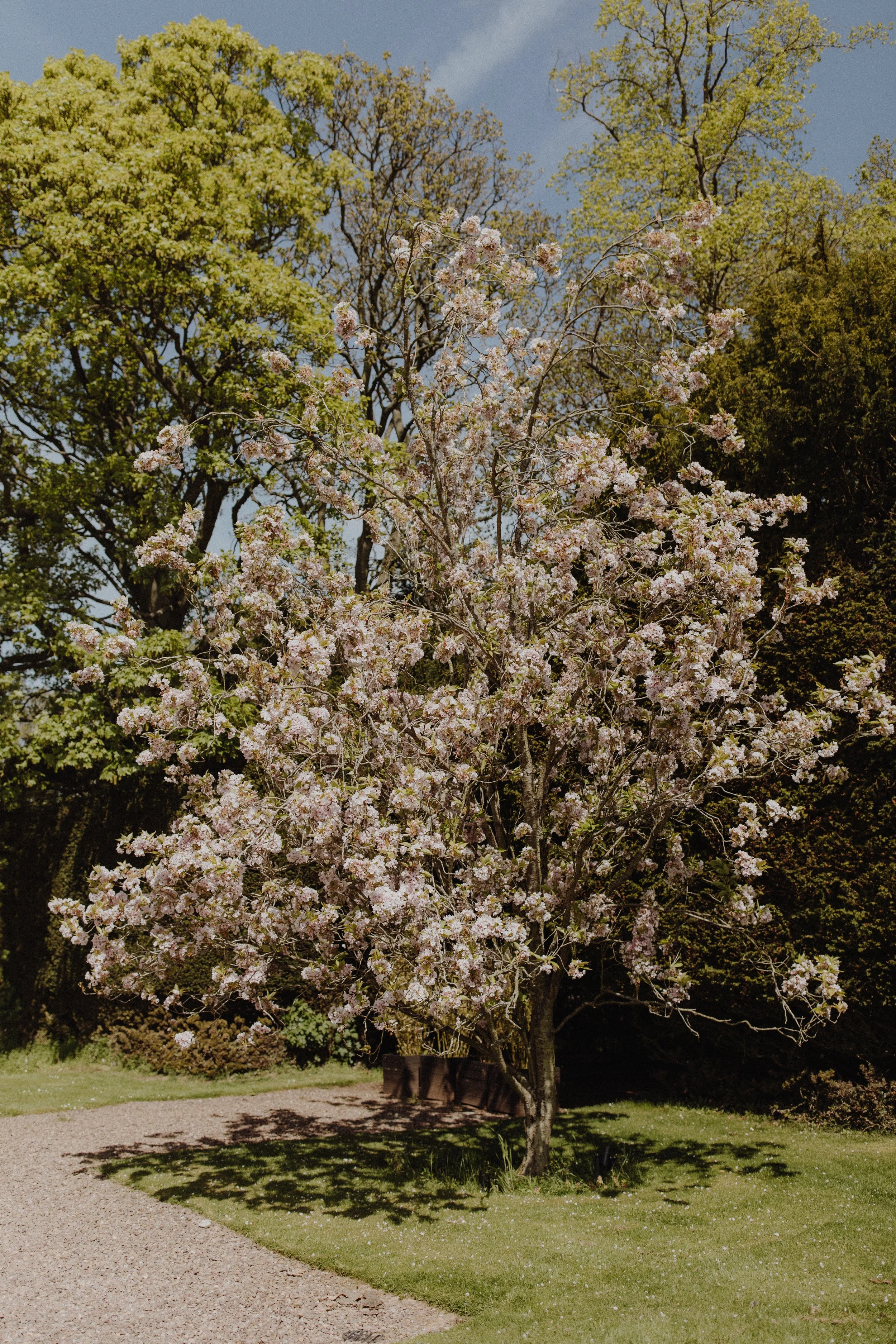 wedding-at-netherbyres-house