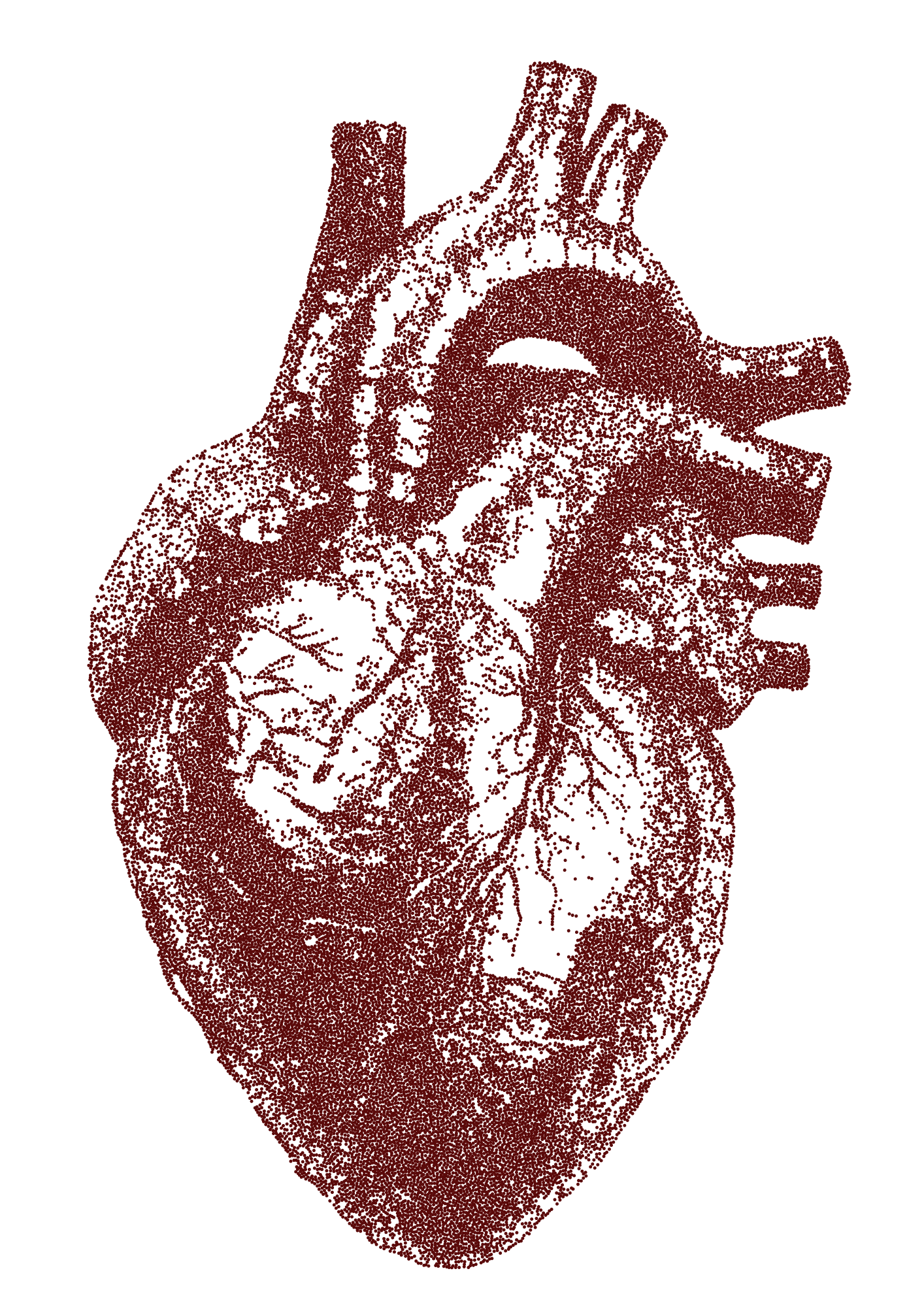 An artistic, stylized illustration of a human heart in dark red color on a black background.
