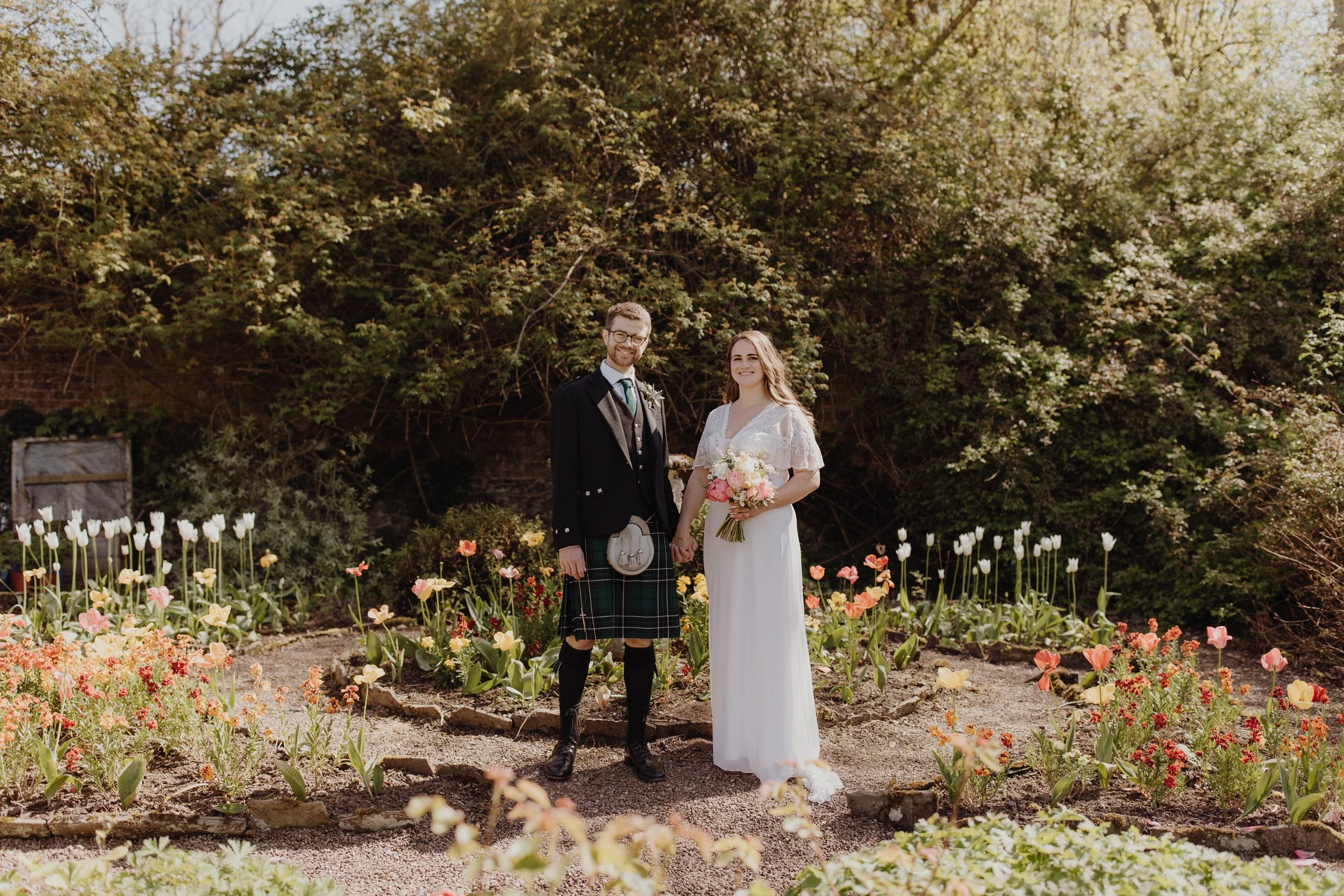 Bride in a white dress and groom in kilt holding hands in a sunny day under a glowing back light in a garden full of bloomed tulips in a welled garden at netherbyres house in Scotland
