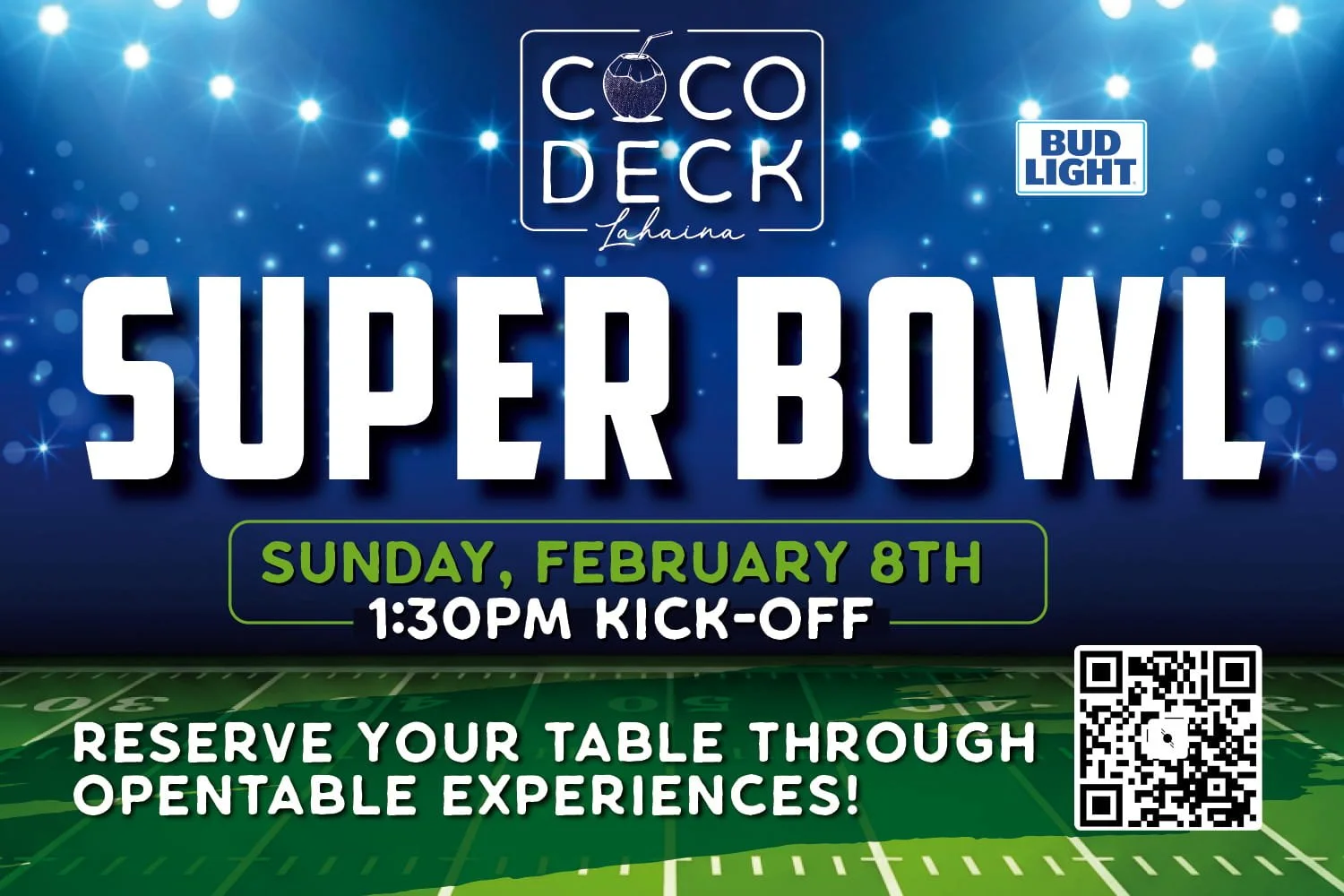 The Big Game - Sunday, February 8th!