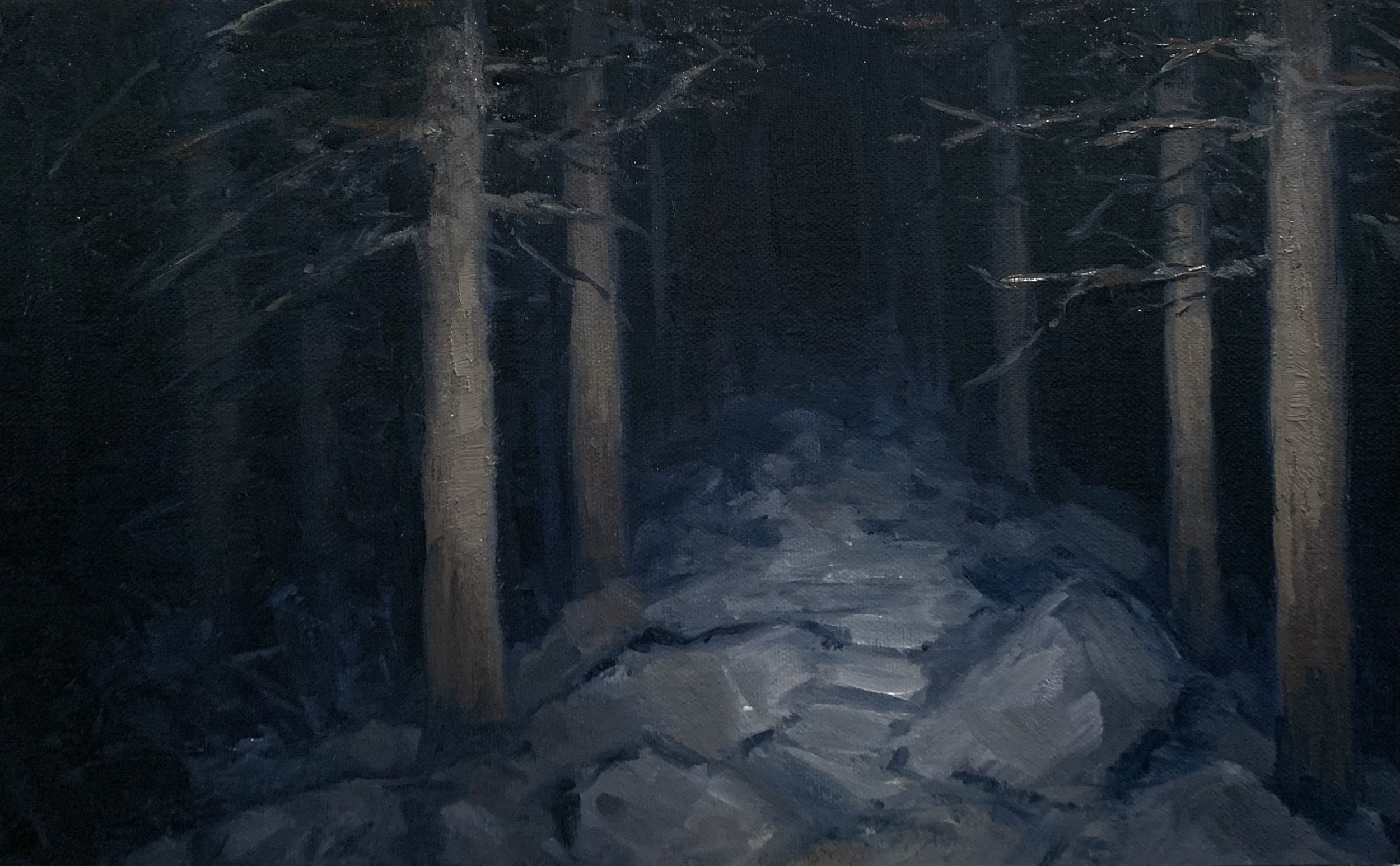 Sunchaser | 8x13 (2022) | Private Collection