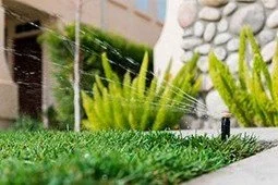 Rainbird.jpg (Copy) (Copy) (Copy) (Copy)