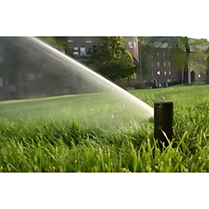 RAINBIRD1_imgupscaler.ai_Sharpen_2K.png (Copy)