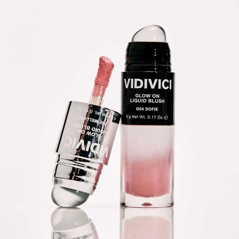 VIDIVIC