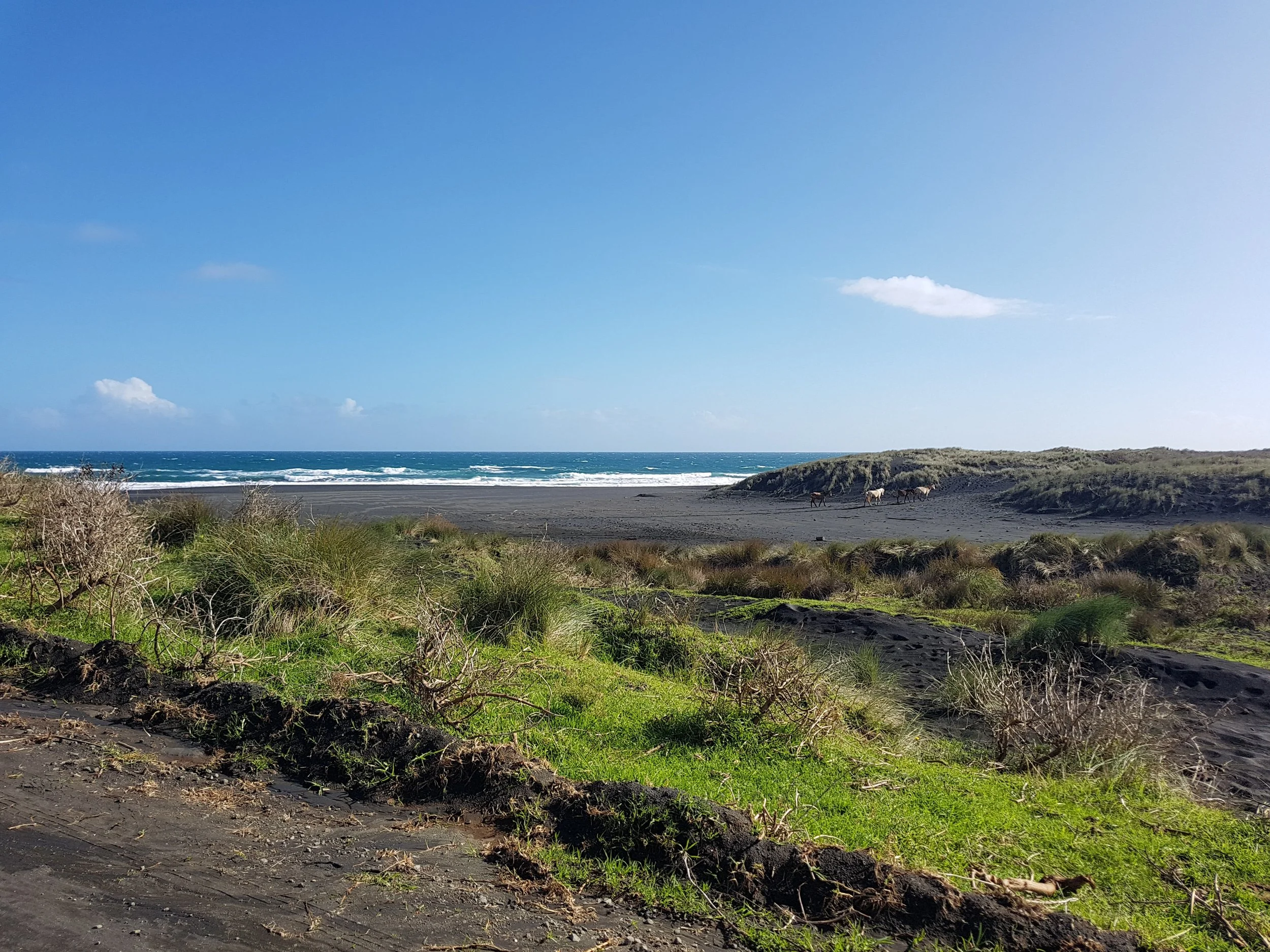 Tahaaroa, near Te Kooraha - Beach