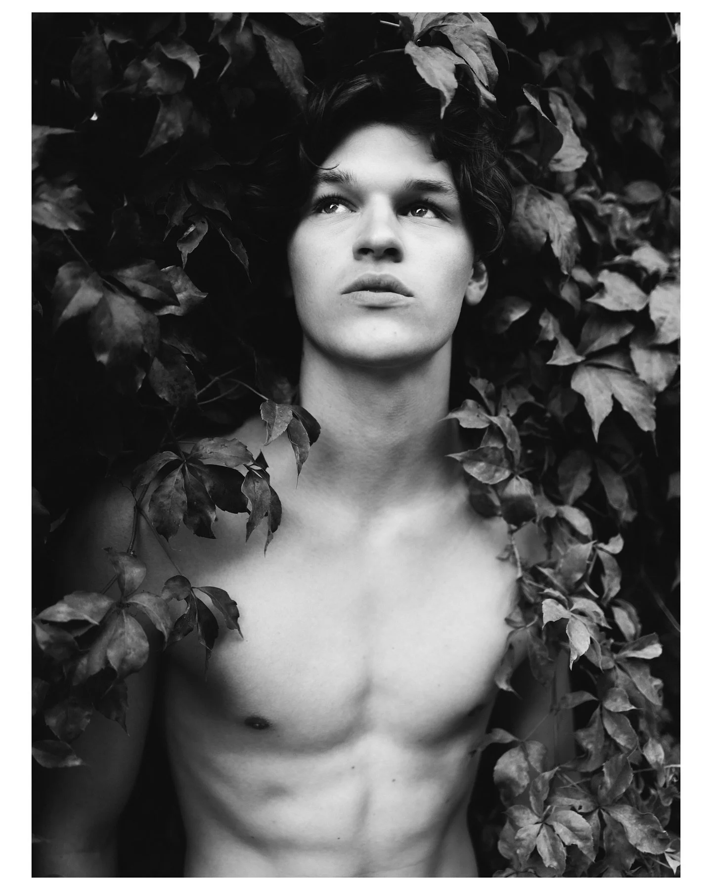 Arnaud et les feuilles