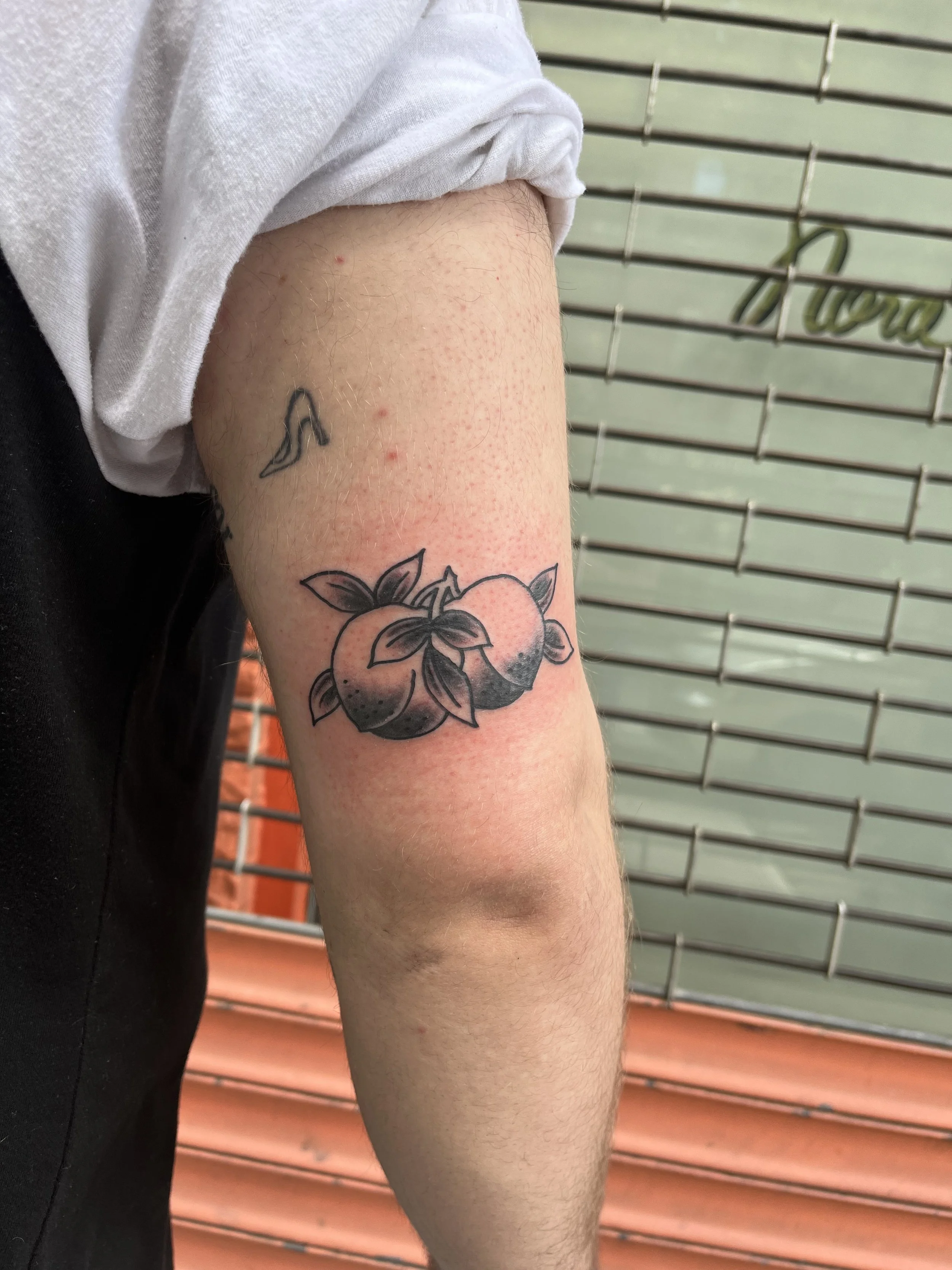 Julius-Forte-Tattoo-Portfolio-Brooklyn-Two-Peaches-Arm-Tattoo.jpg