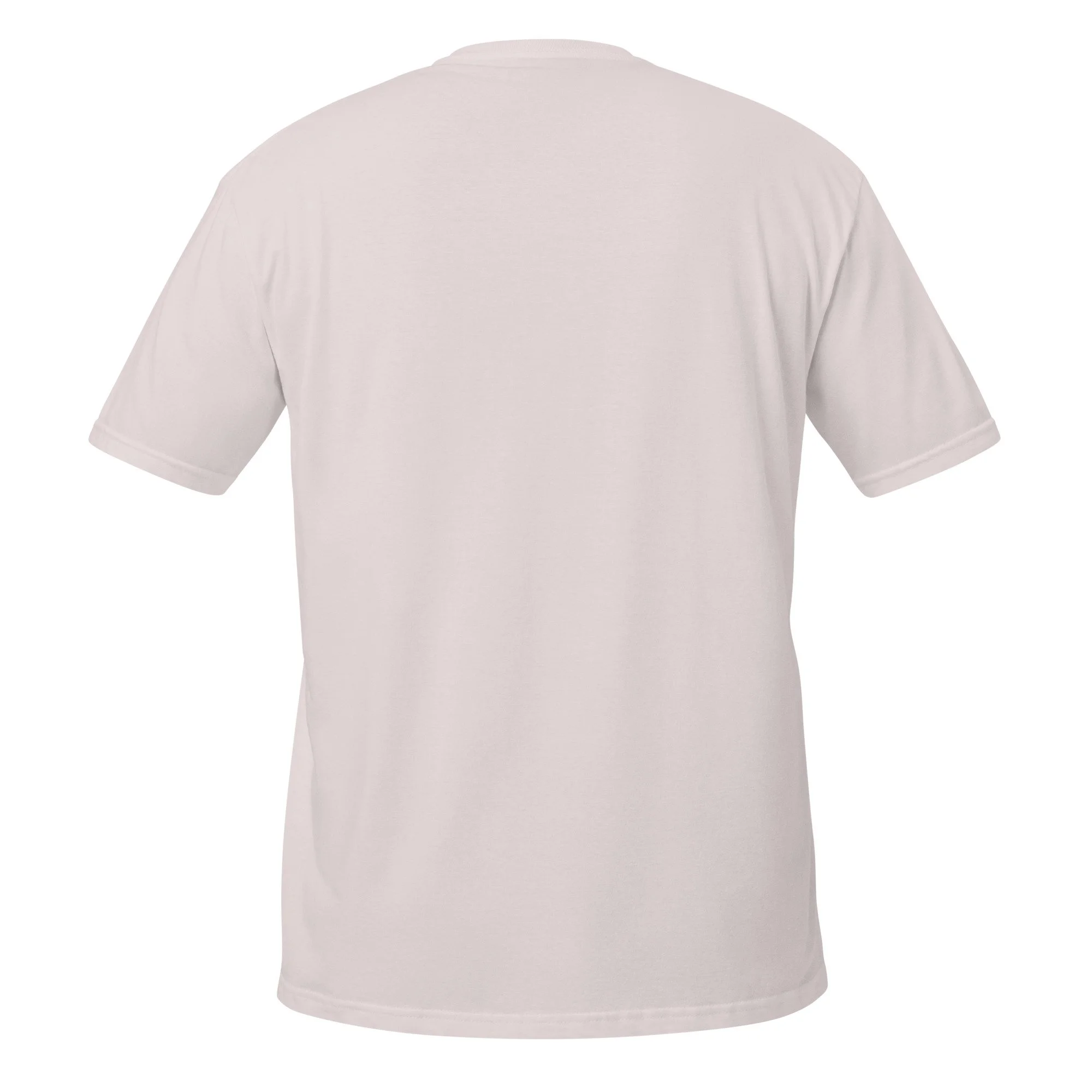 unisex-basic-softstyle-t-shirt-ice-grey-back-6918f360945f0.jpg