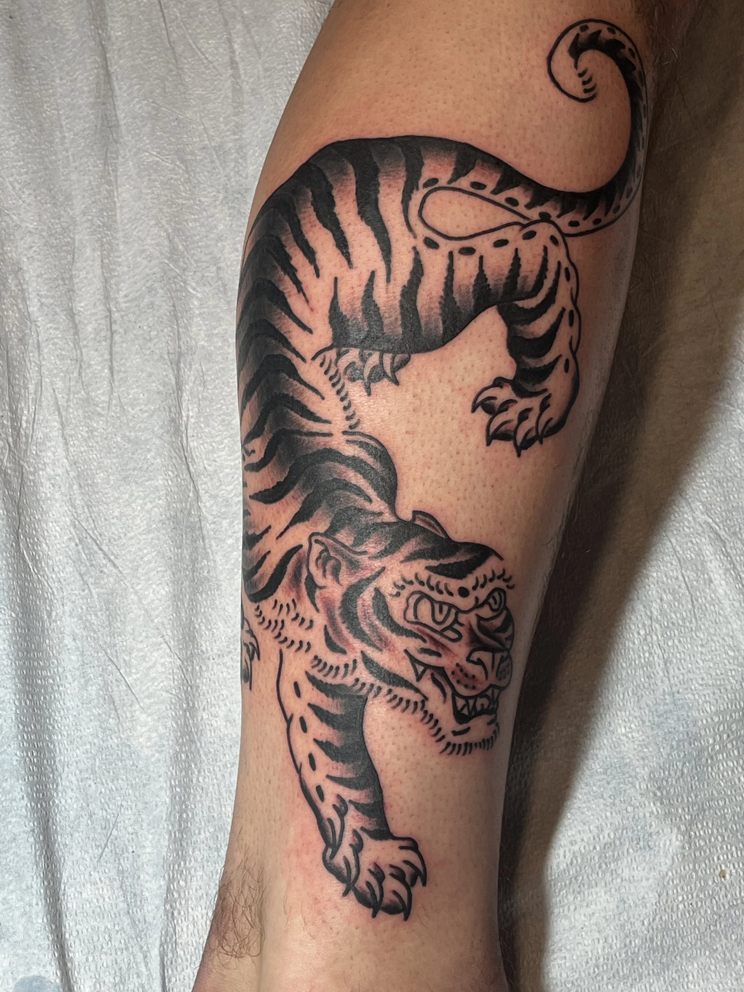 Julius-Forte-Tattoo-Portfolio-Brooklyn-Climbing-Tiger-Leg-Tattoo.jpg