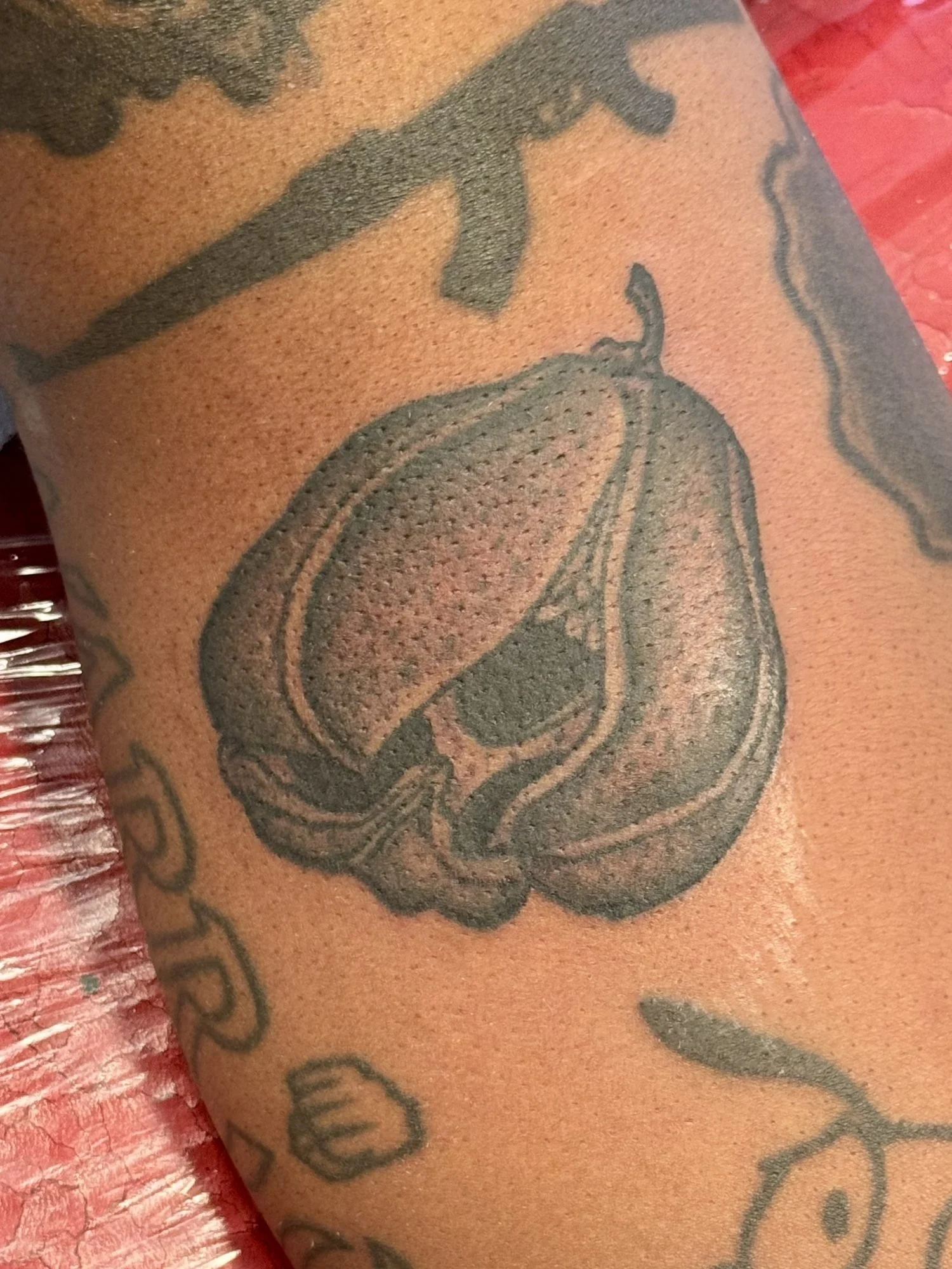 Dotwork pear tattoo on an arm.jpg