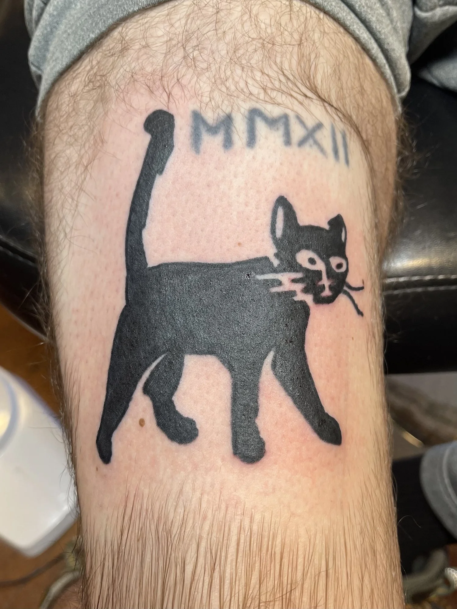 Solid black cat tattoo on a calf.jpg
