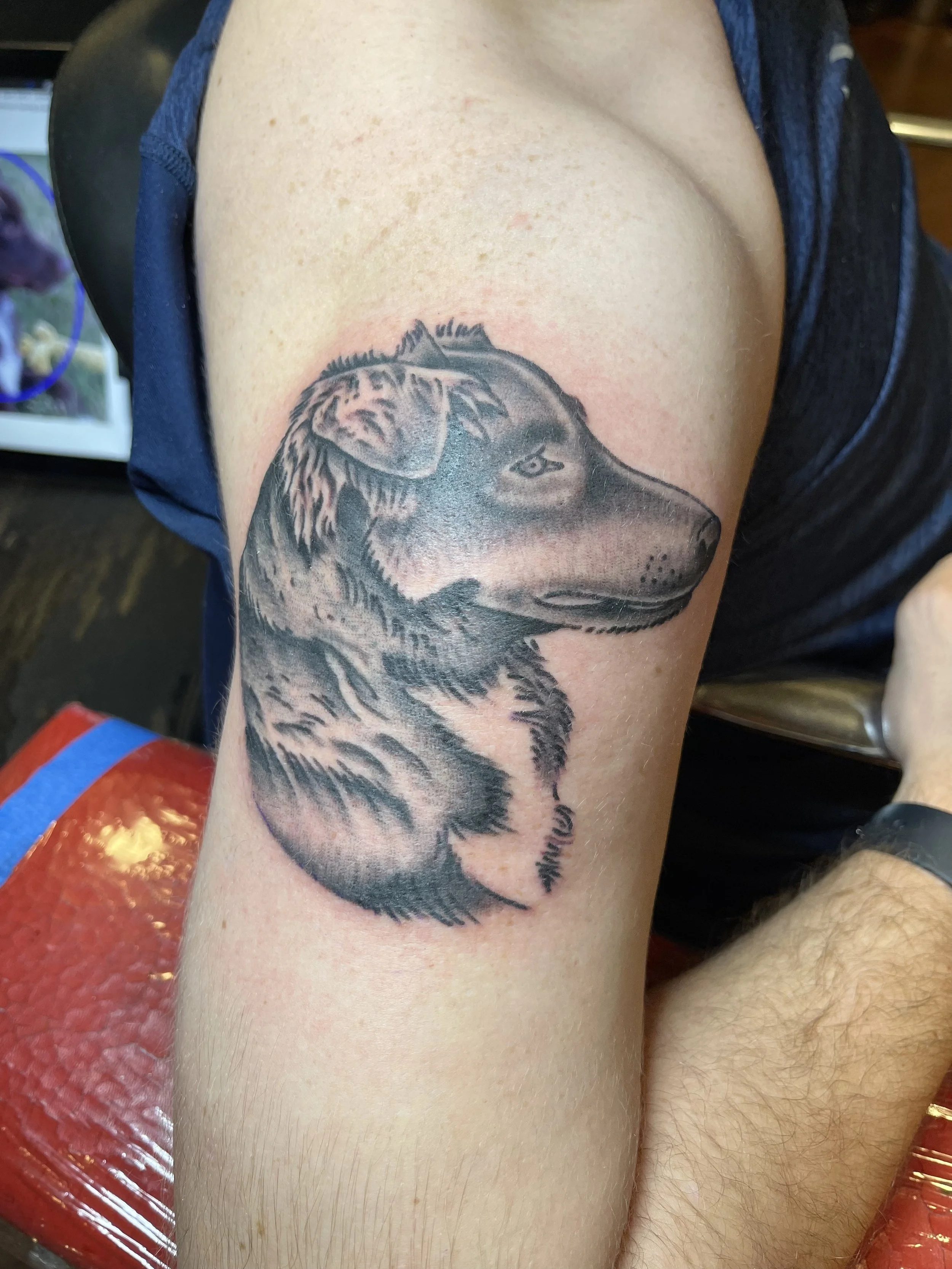 Black and grey dog portrait tattoo on the upper arm by Electric Lotus Tattoo in NYC