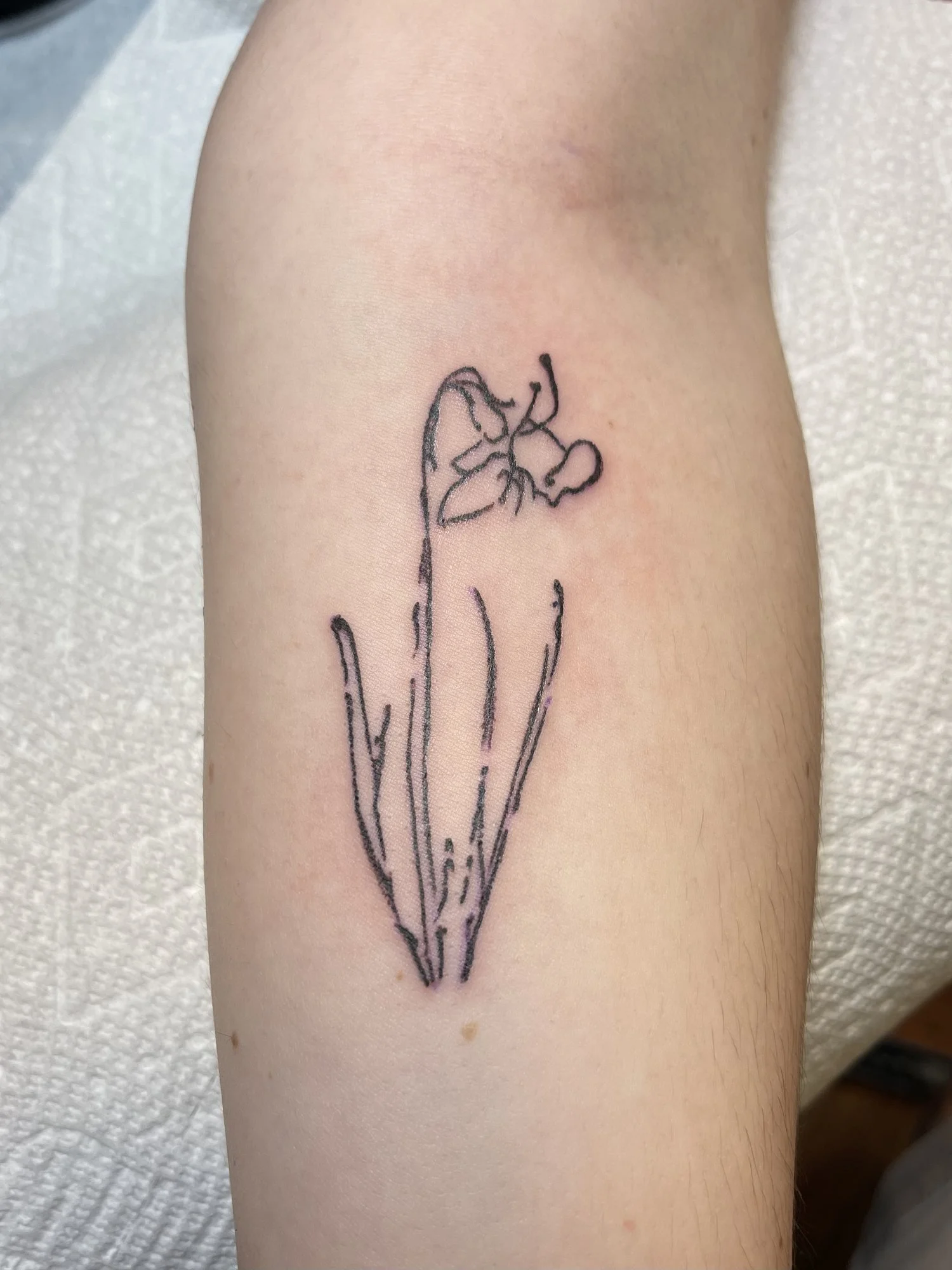 Delicate fine line daffodil tattoo on an upper arm.jpg