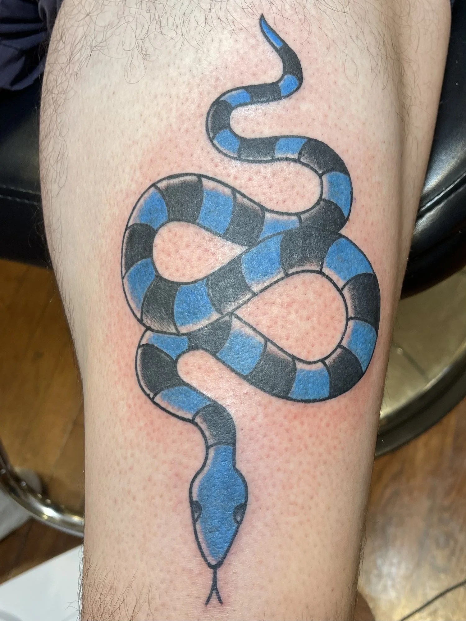 Blue and white banded snake tattoo on a calf.jpg