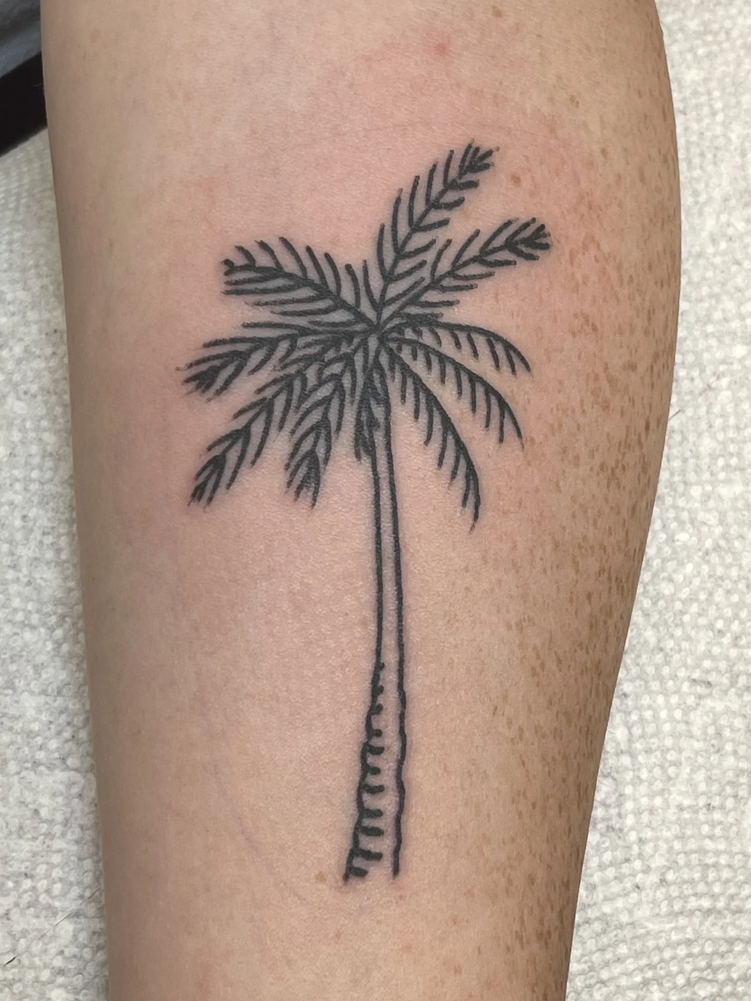 Fine line palm tree tattoo on a calf.jpg
