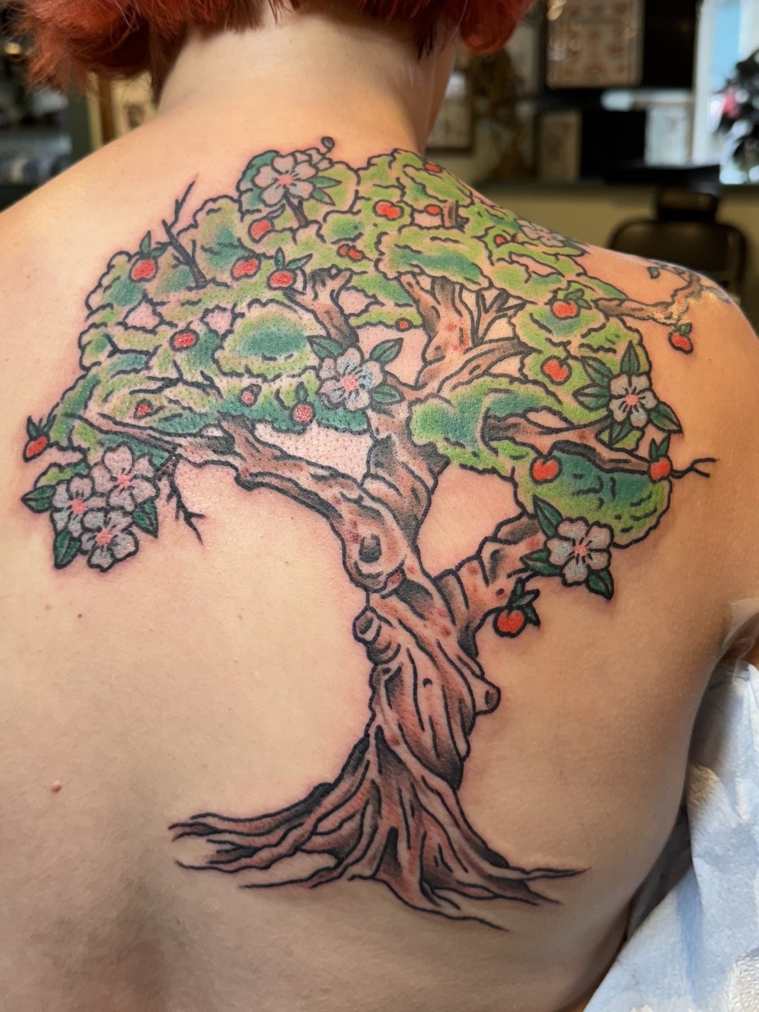Color cherry blossom tree tattoo across a shoulder and back.jpg