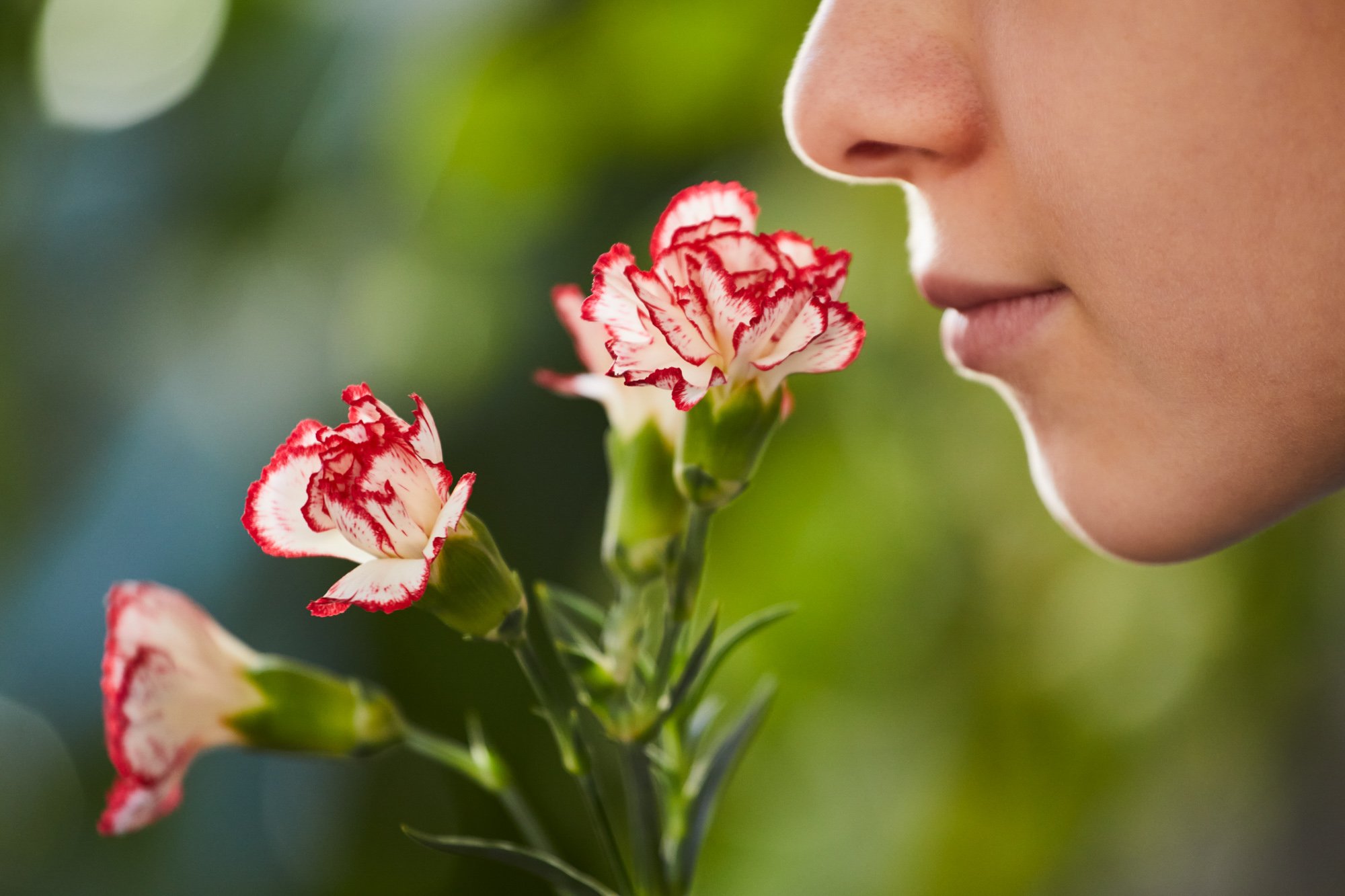 ACQUA DYNAMO 50822.jpg