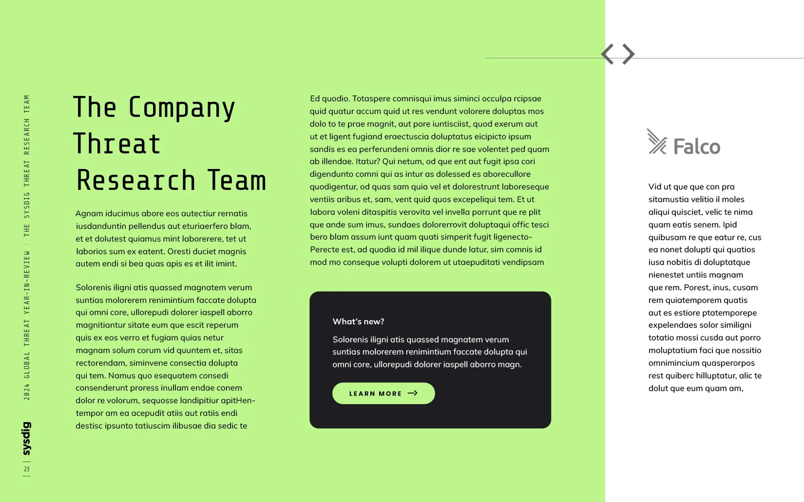 Global Threat Year‑in‑Review23.jpg