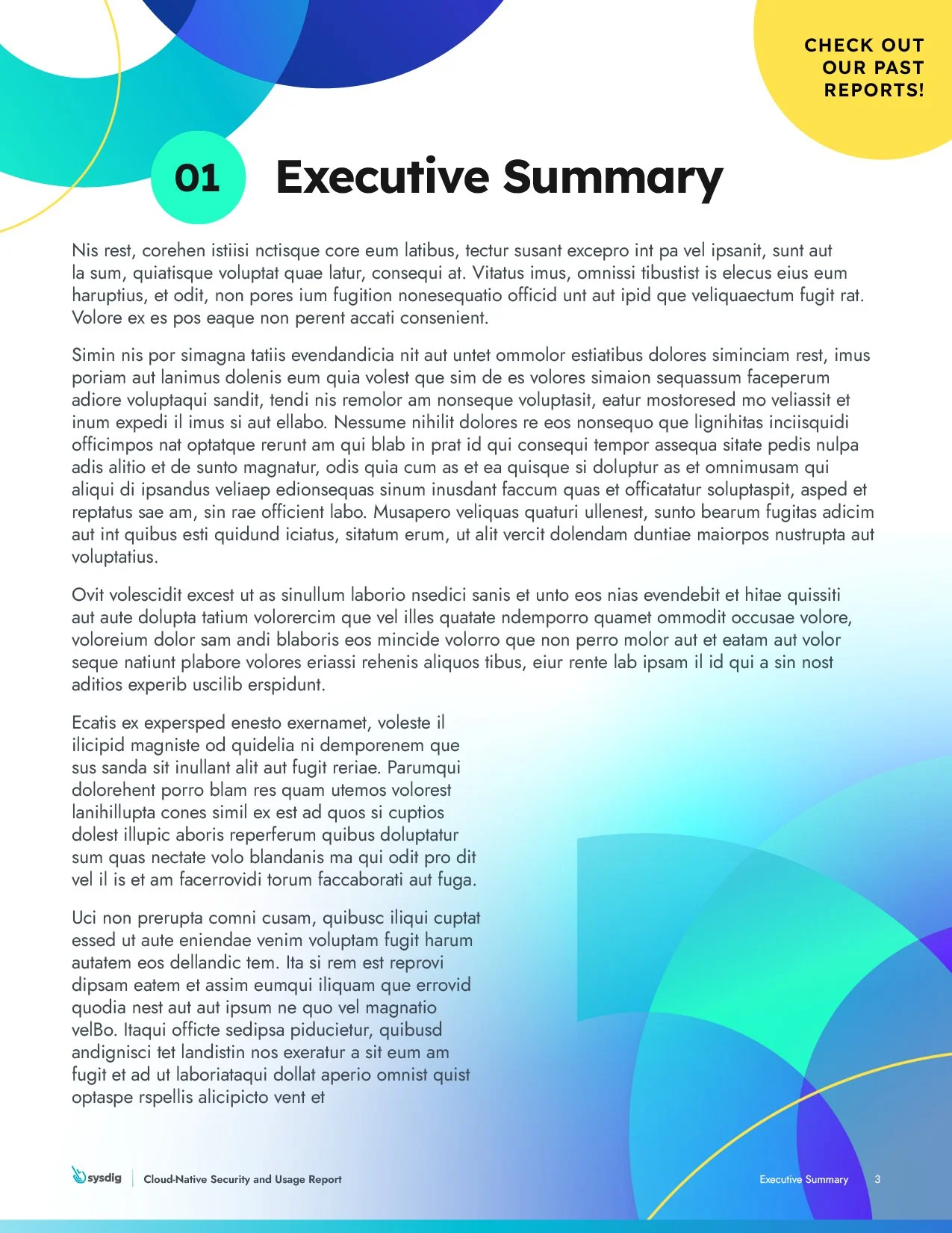 Security and Usage Report3.jpg