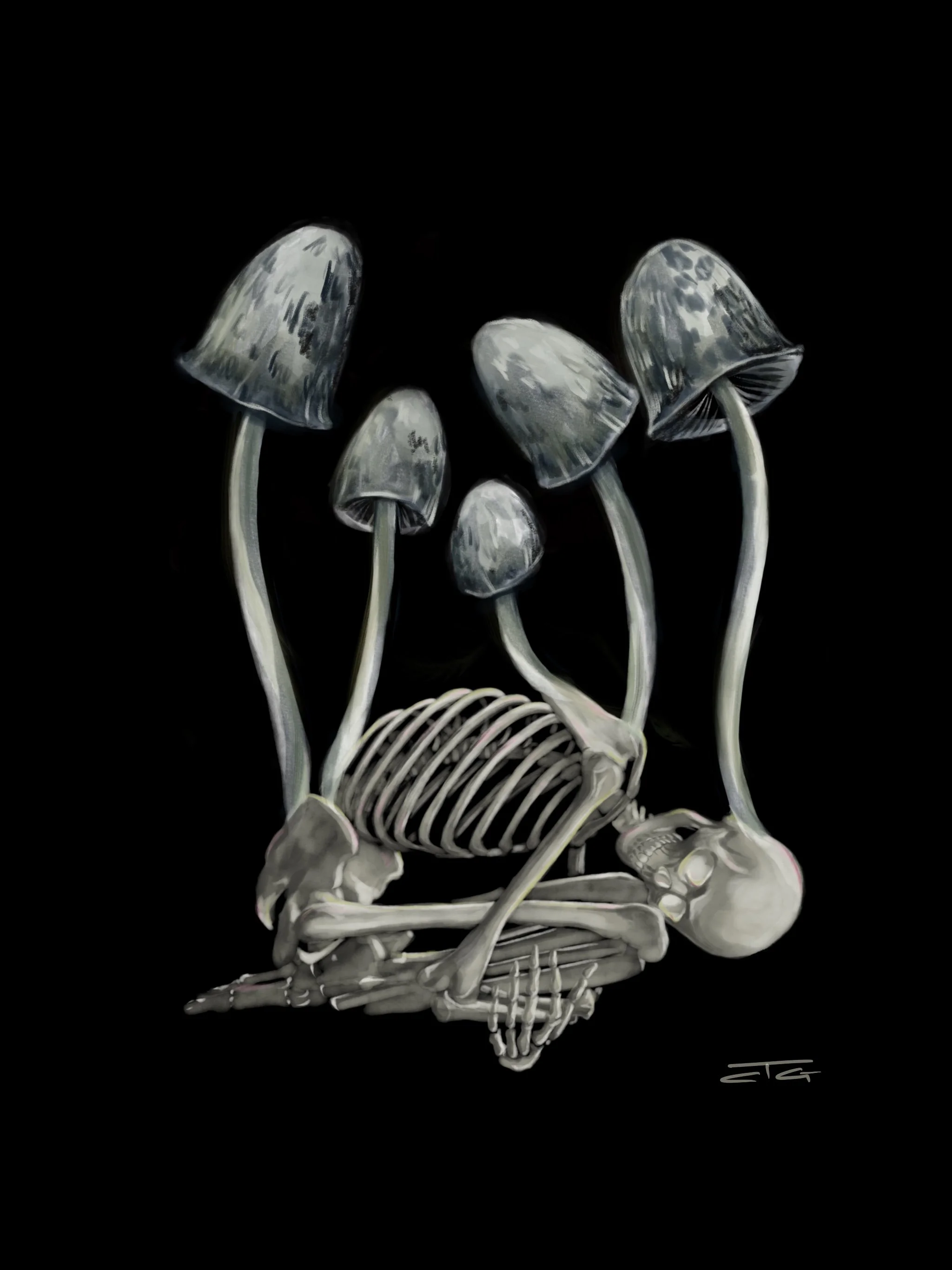 Skeleton Mushrooms