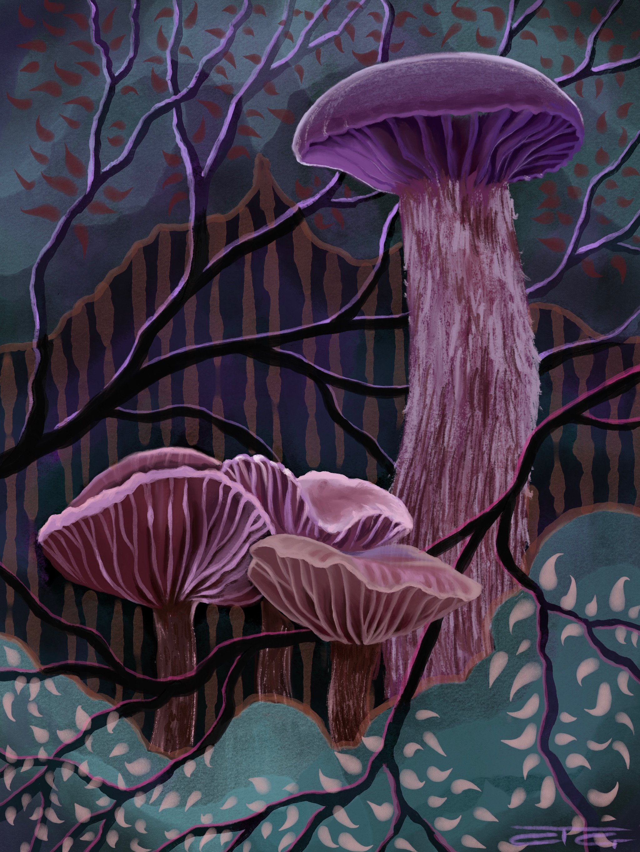 Purple Mushrooms
