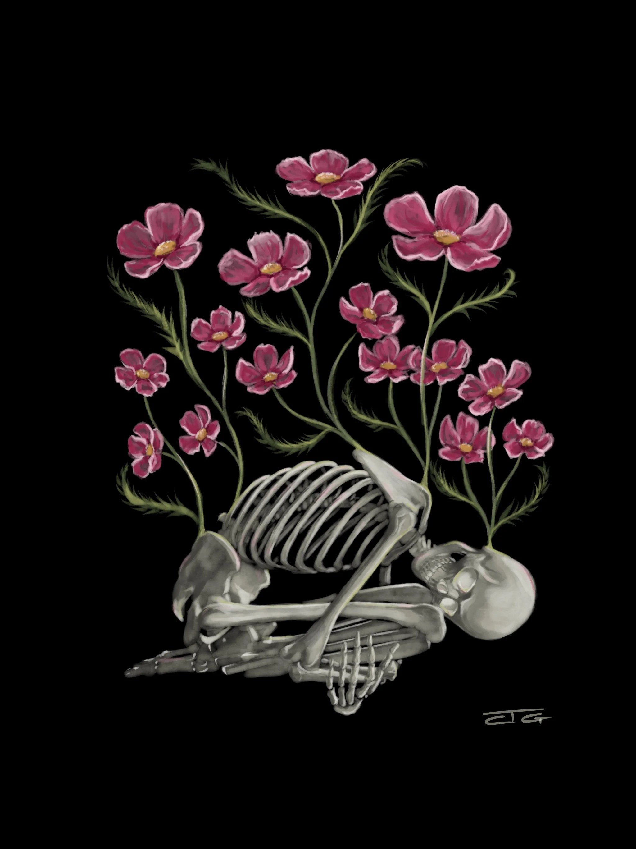 Skeleton cosmos