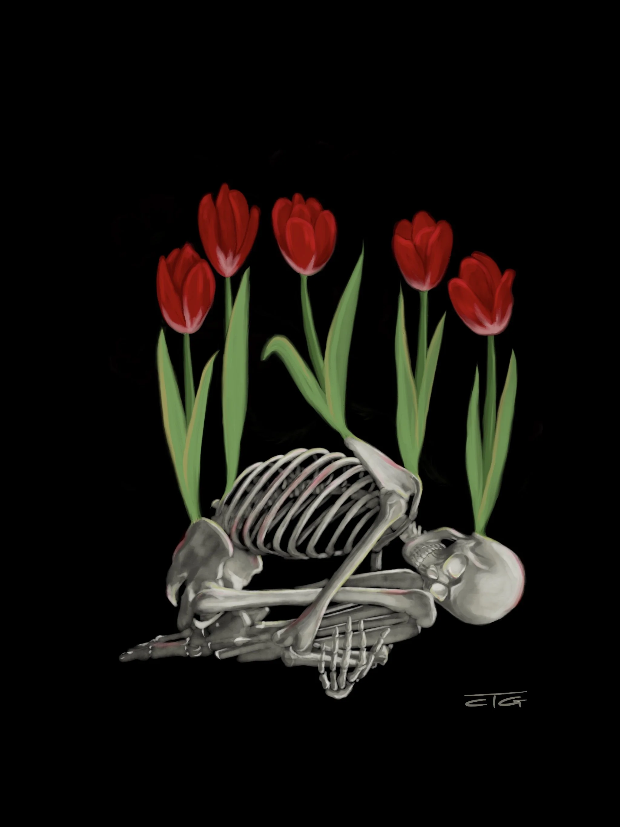 Skeleton Tulips