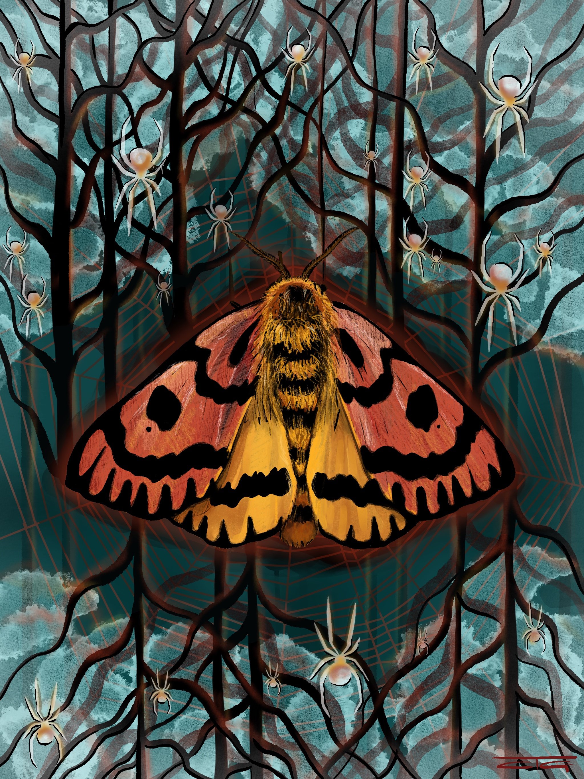 Western Sheep Moth