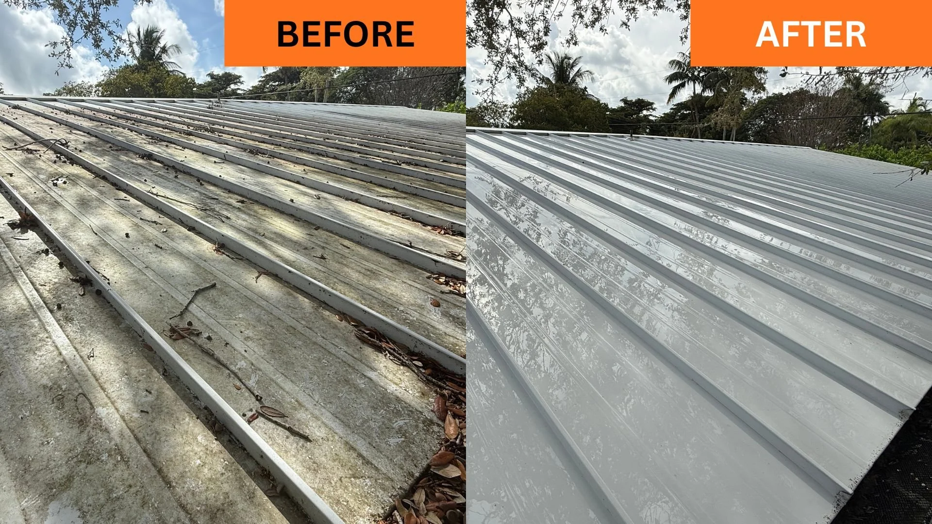 Killing algae and mold from Pincrest metal roof home