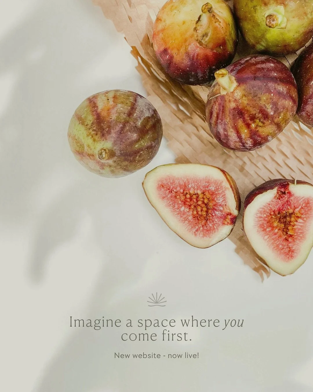 CF Nutrition&rsquo;s new website is live! 🍑🍌🥑🥦

Rooted in science and focused on real results, CF Nutrition supports clients through personalized guidance and real-life habits &mdash; and now, their online space reflects that too.

We designed a 