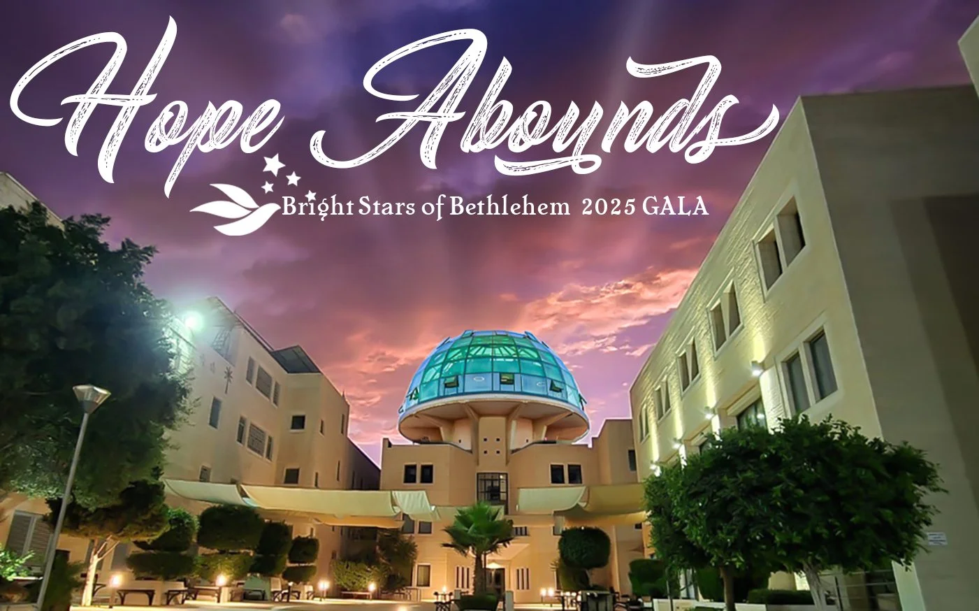 Bright Stars of Bethlehem Virtual Gala