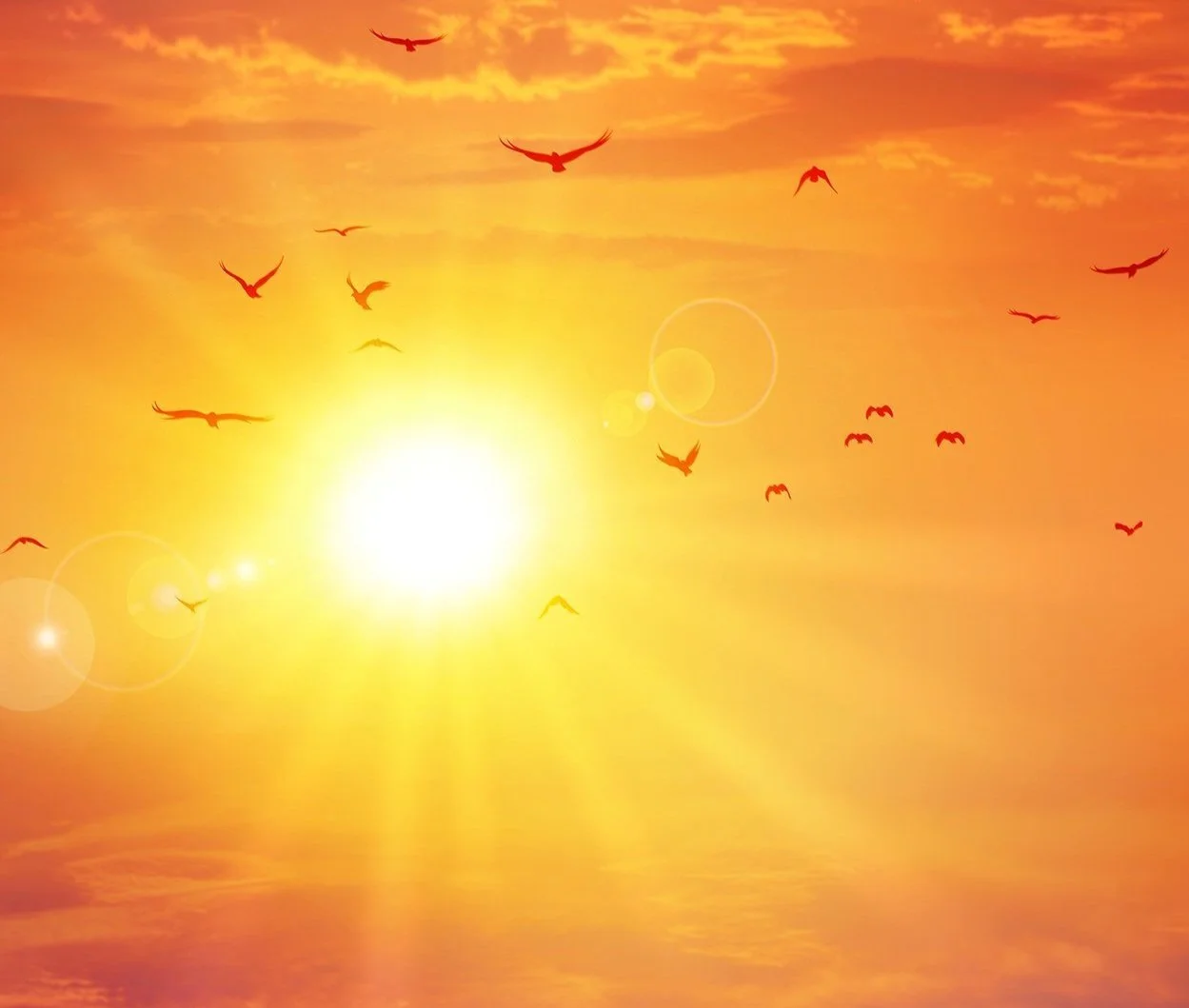 The Dog Days of Summer