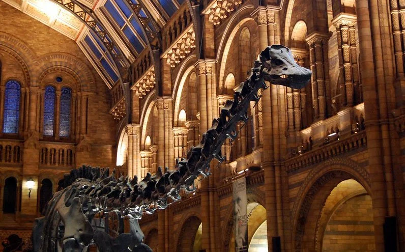 Turn Your Eyes Upon Jesus