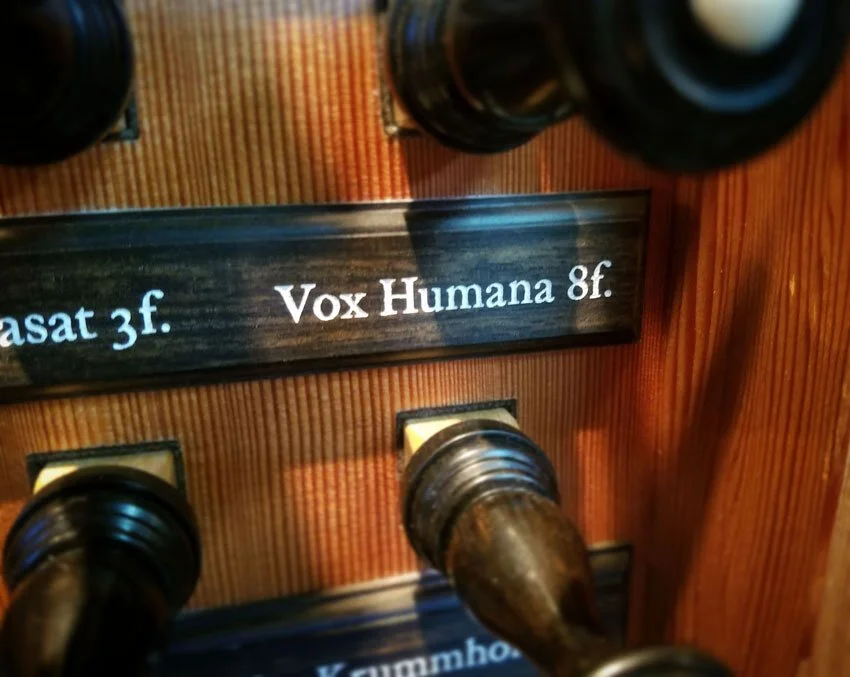 Passion, Devotion and Artistry