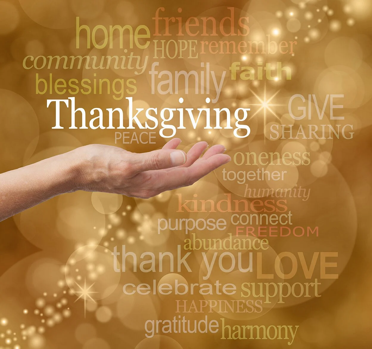 My First Thanksgiving