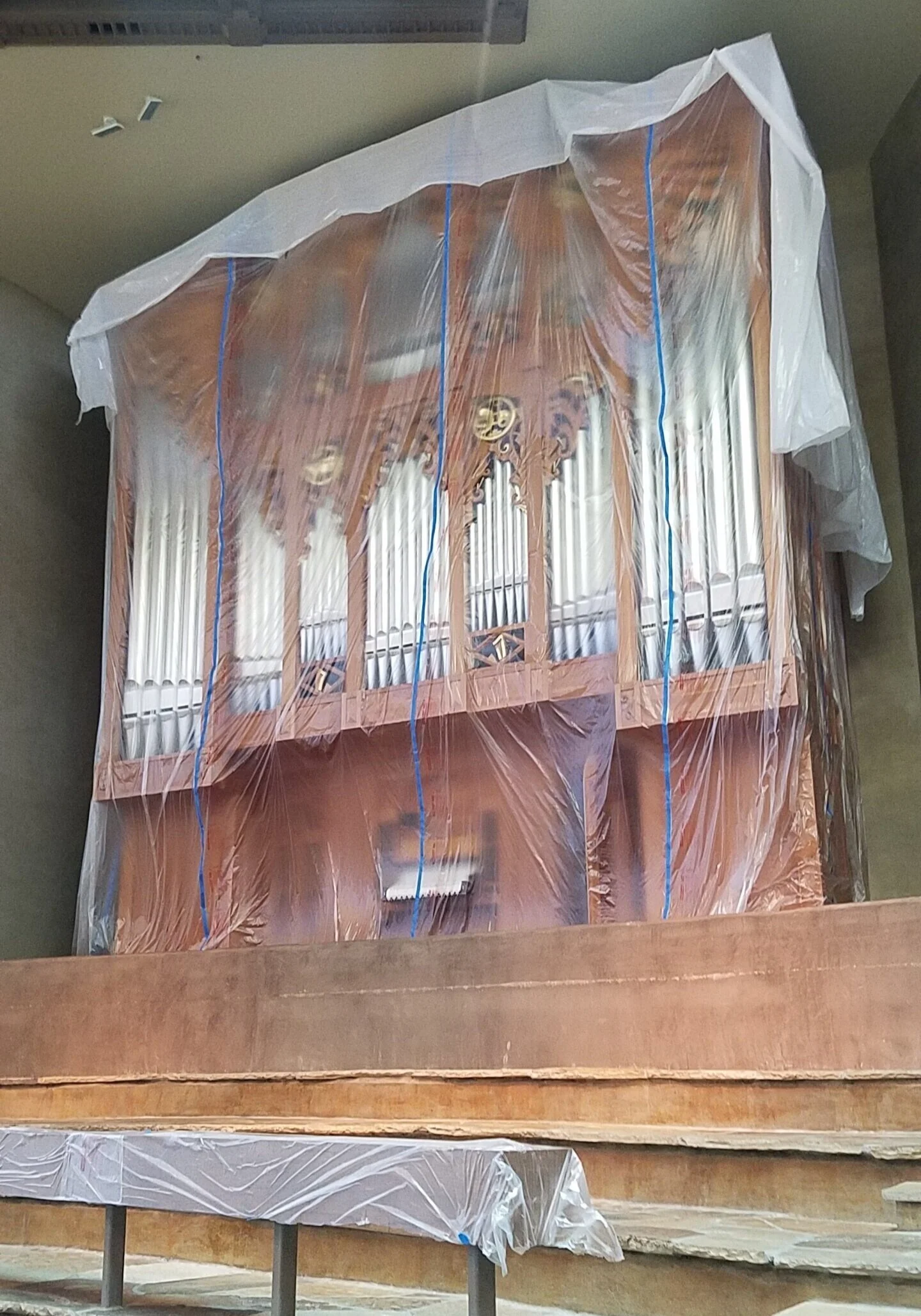 What's New With Our Organ? Update #1